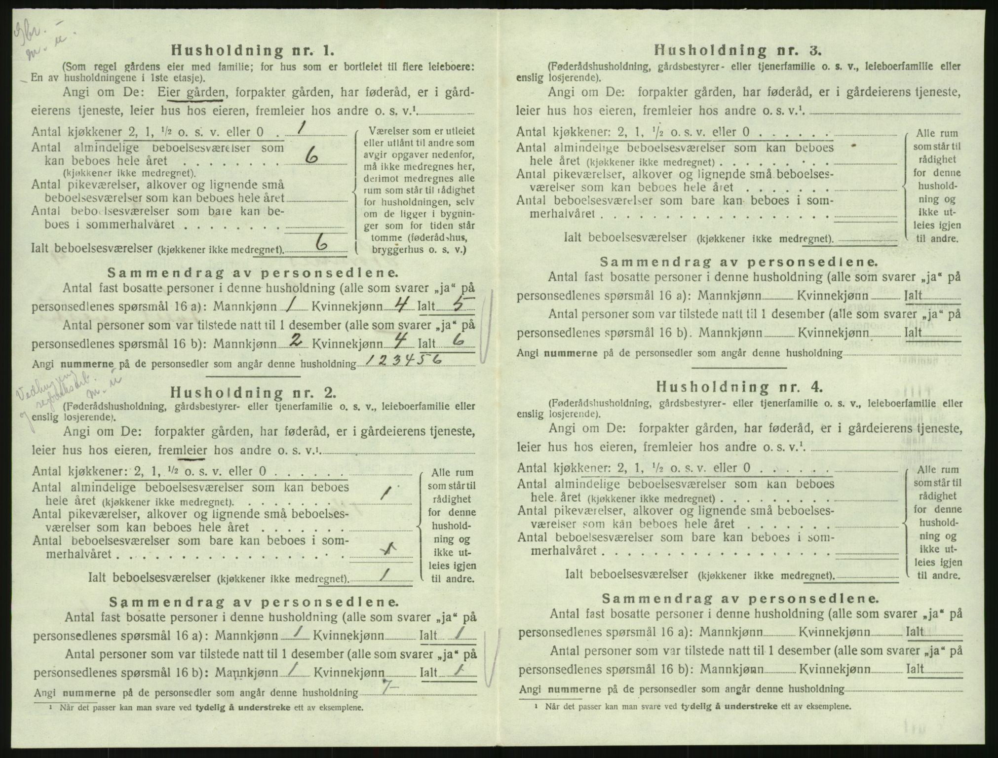 SAK, Folketelling 1920 for 0936 Hornnes herred, 1920, s. 360