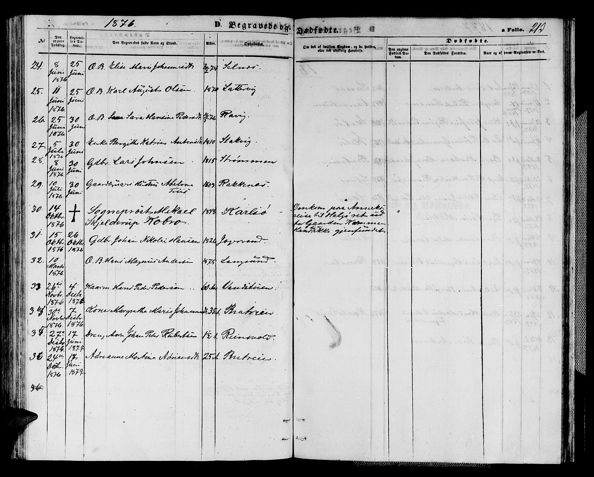 Karlsøy sokneprestembete, AV/SATØ-S-1299/H/Ha/Hab/L0003klokker: Klokkerbok nr. 3, 1862-1877, s. 213