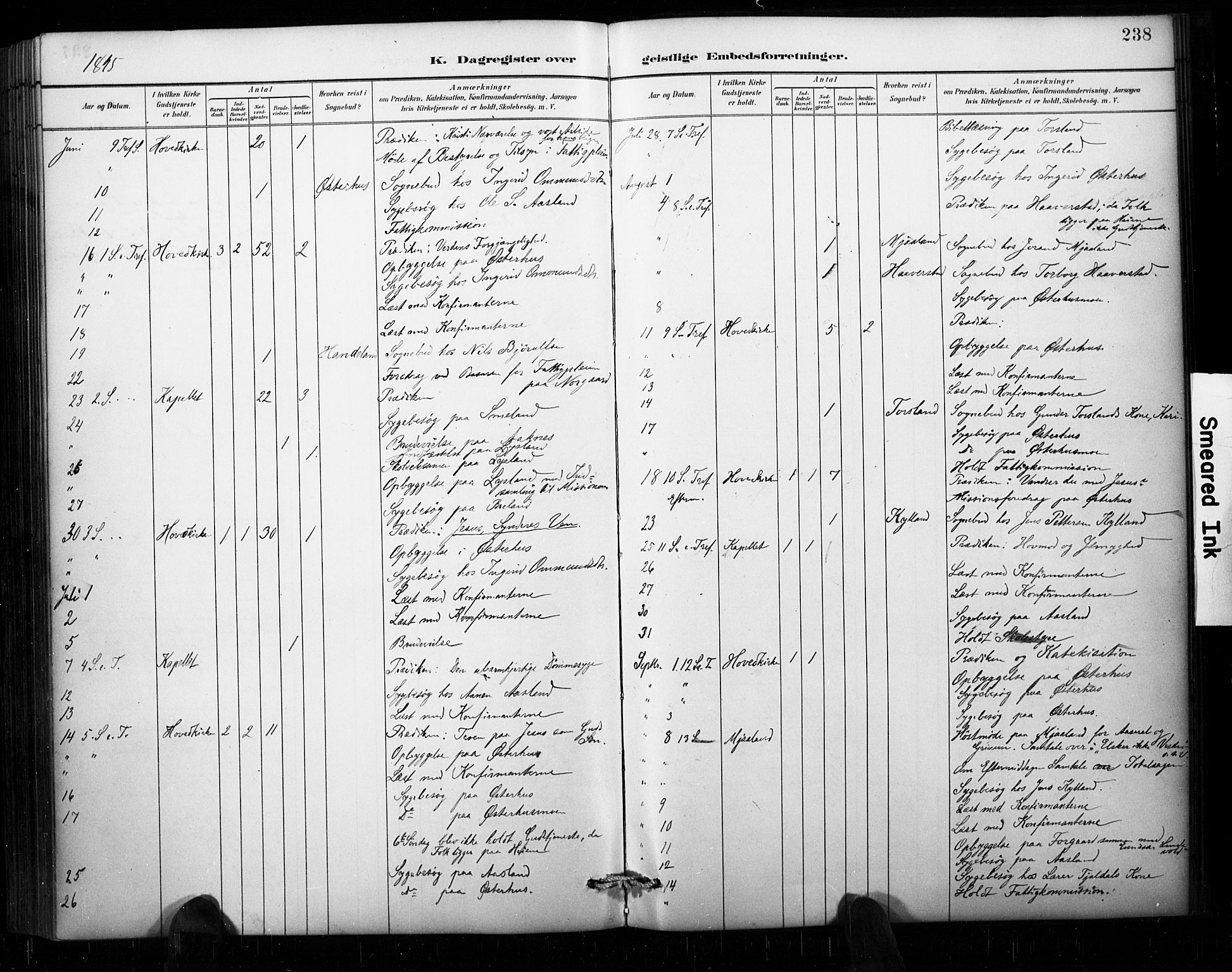 Åseral sokneprestkontor, AV/SAK-1111-0051/F/Fa/L0003: Ministerialbok nr. A 3, 1884-1901, s. 238