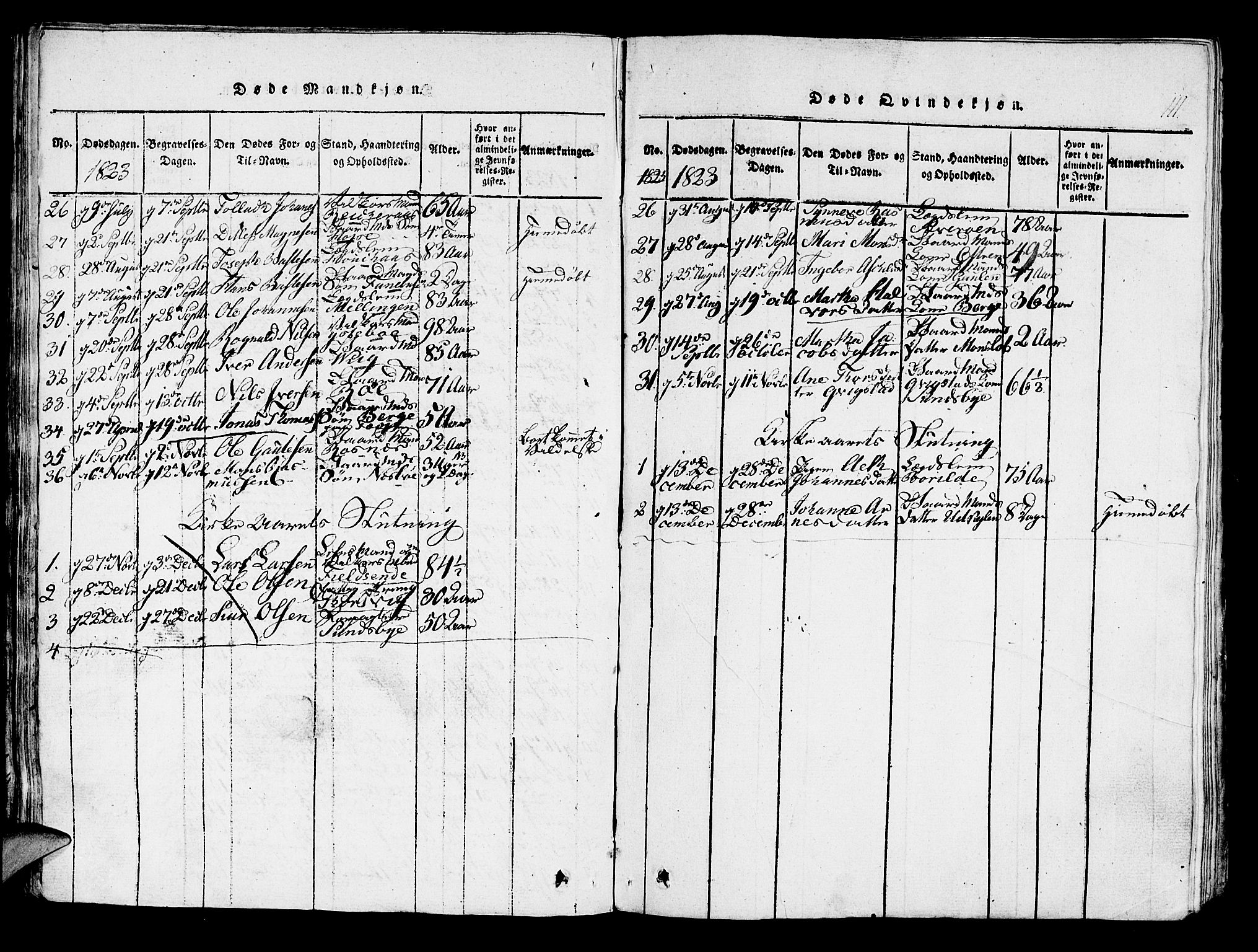 Lindås Sokneprestembete, AV/SAB-A-76701/H/Haa/Haaa/L0007: Ministerialbok nr. A 7, 1816-1823, s. 111