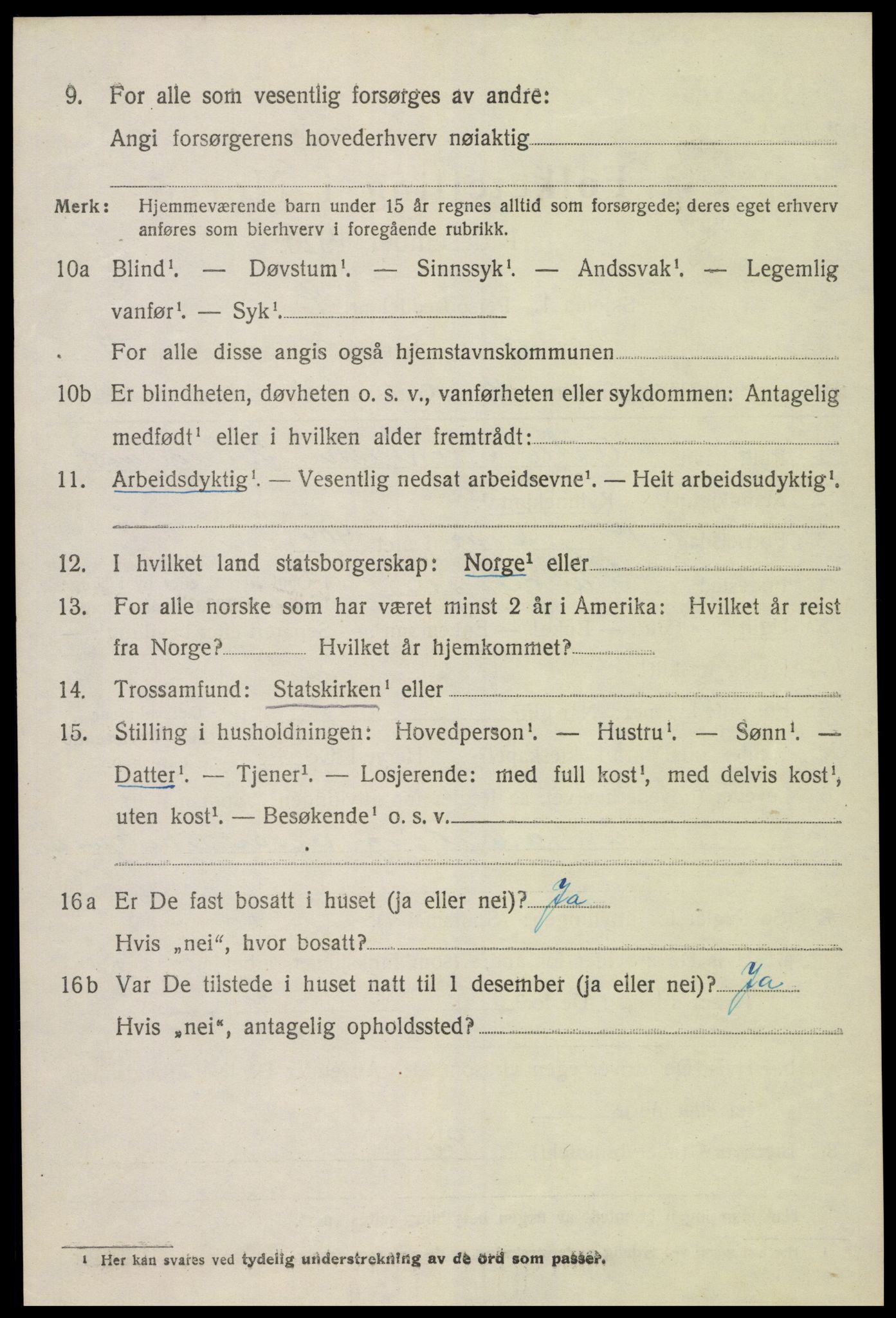 SAK, Folketelling 1920 for 0936 Hornnes herred, 1920, s. 2914