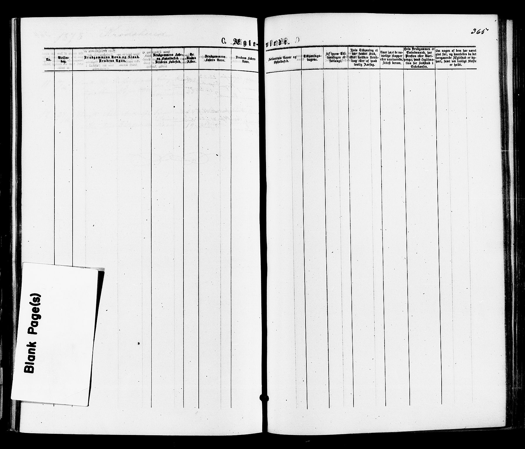 Sigdal kirkebøker, SAKO/A-245/F/Fa/L0010: Ministerialbok nr. I 10 /2, 1872-1878, s. 365