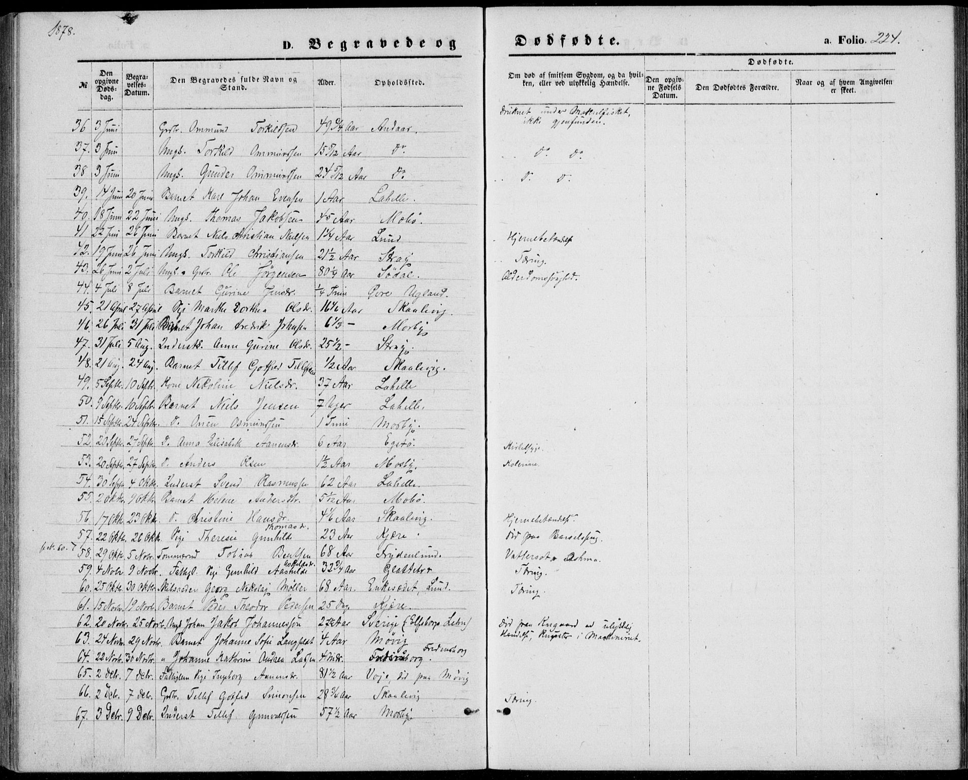 Oddernes sokneprestkontor, AV/SAK-1111-0033/F/Fb/Fba/L0007: Klokkerbok nr. B 7, 1869-1887, s. 224