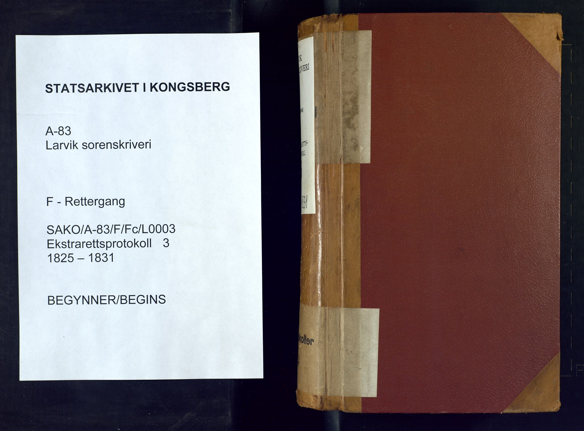 Larvik sorenskriveri, SAKO/A-83/F/Fc/L0003: Ekstrarettsprotokoll, 1825-1831