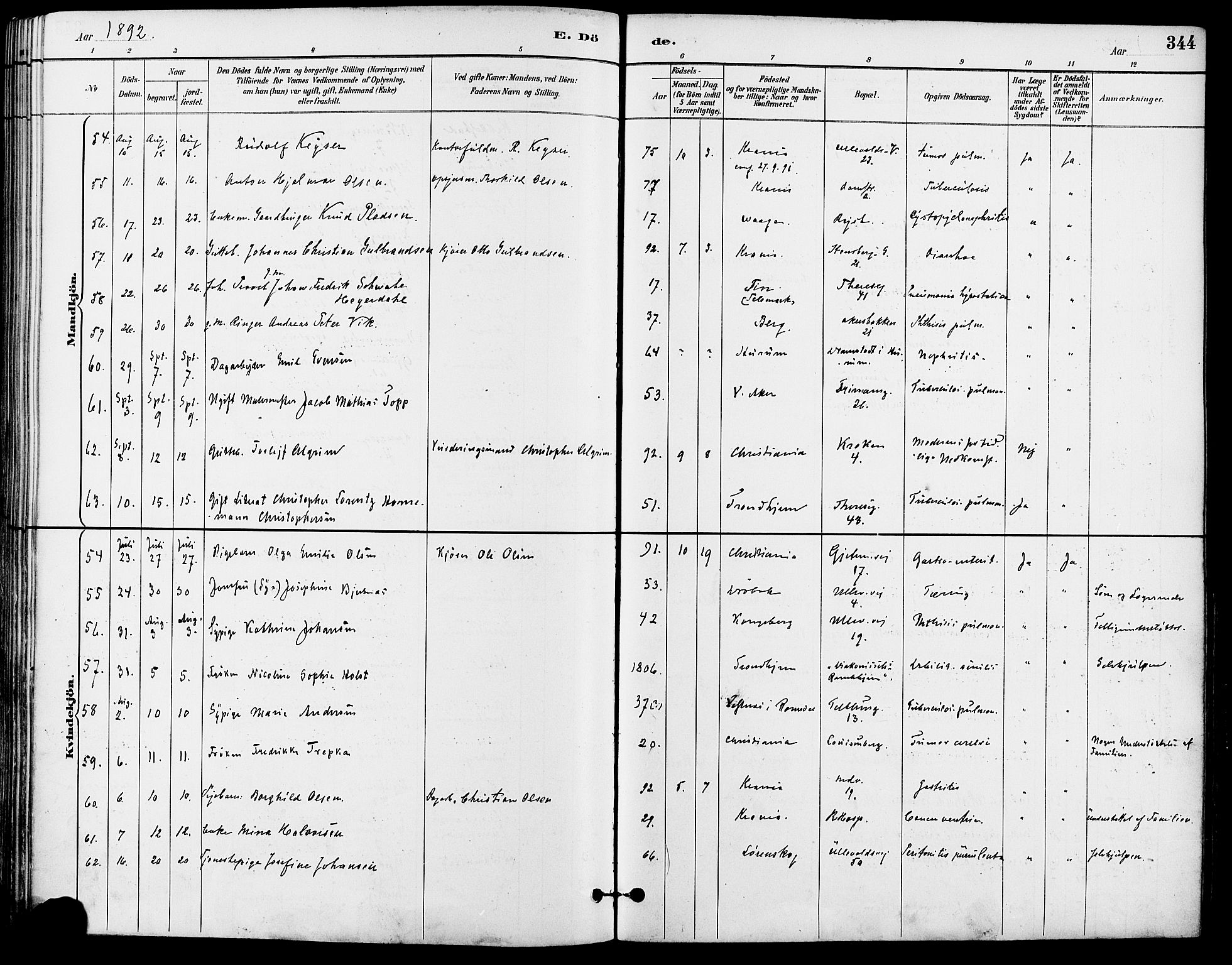 Gamle Aker prestekontor Kirkebøker, AV/SAO-A-10617a/F/L0008: Ministerialbok nr. 8, 1887-1896, s. 344