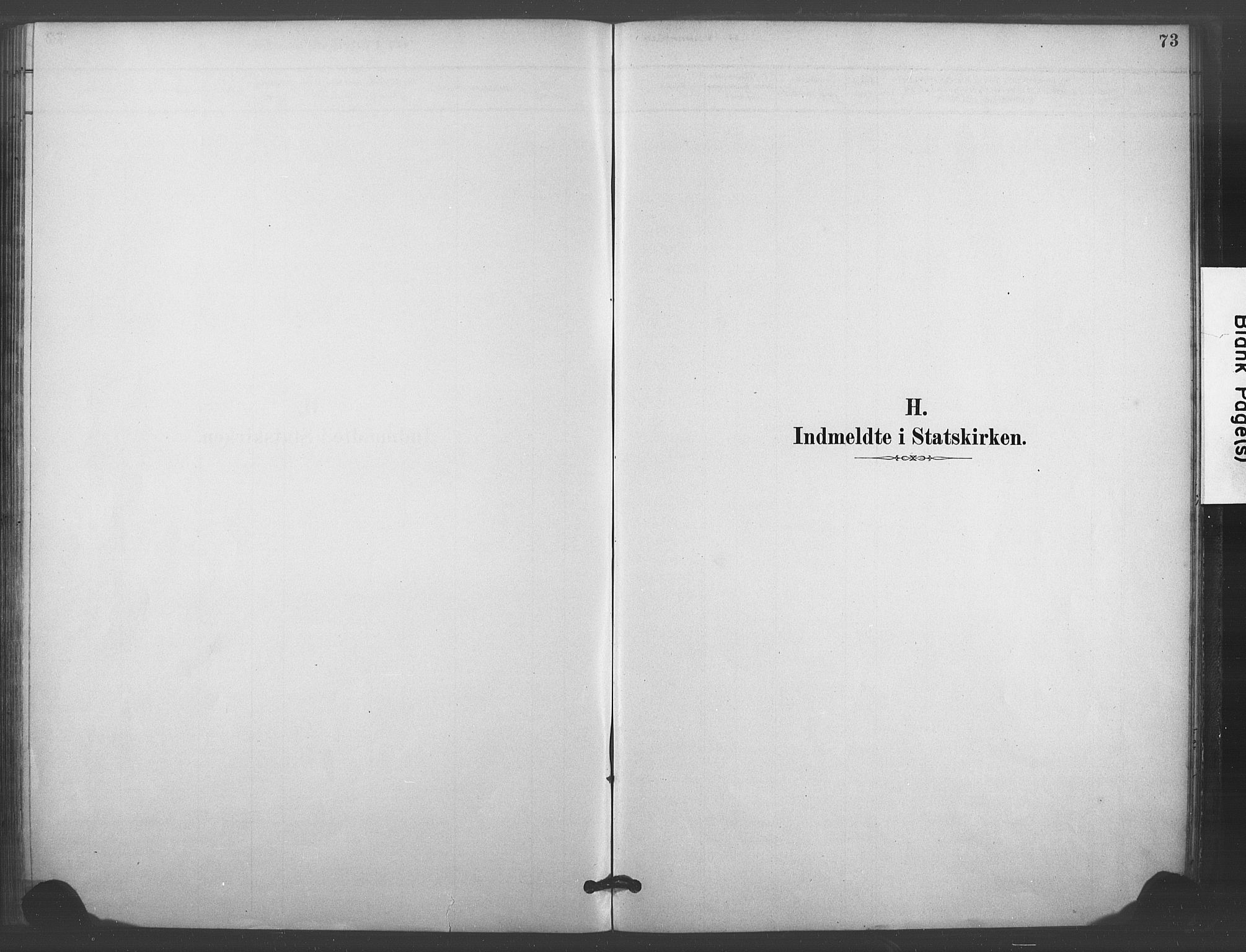 Kongsberg kirkebøker, SAKO/A-22/F/Fc/L0001: Ministerialbok nr. III 1, 1883-1897, s. 73