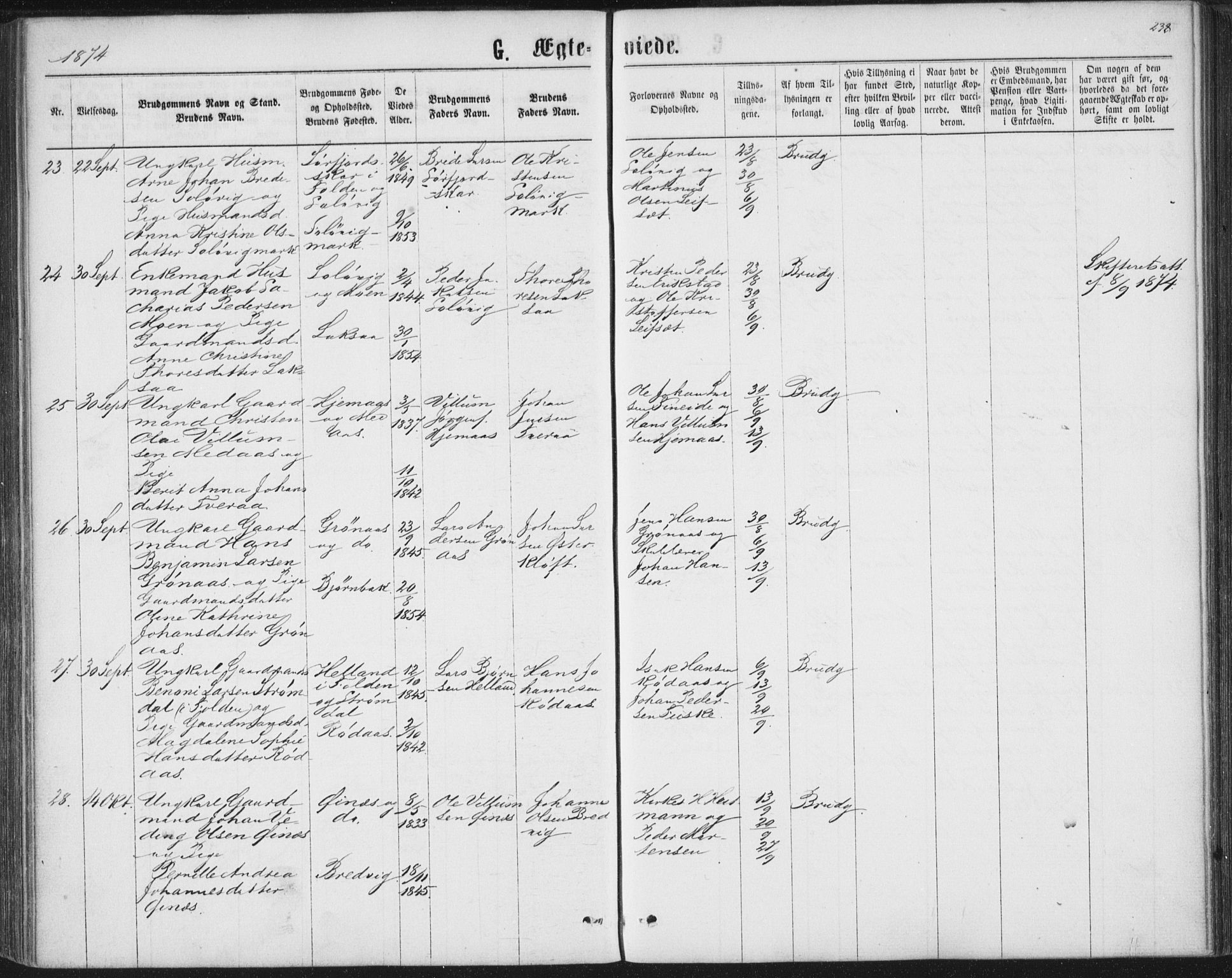 Ministerialprotokoller, klokkerbøker og fødselsregistre - Nordland, AV/SAT-A-1459/852/L0739: Ministerialbok nr. 852A09, 1866-1877, s. 238