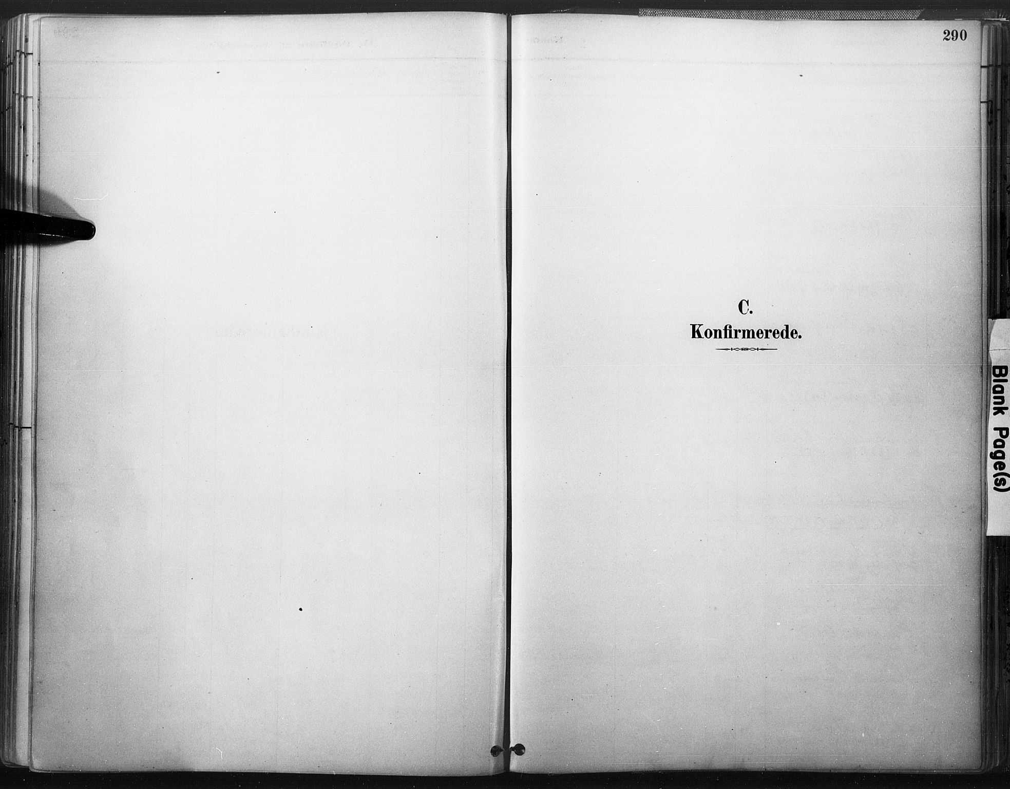 Åmli sokneprestkontor, AV/SAK-1111-0050/F/Fa/Fac/L0010: Ministerialbok nr. A 10 /3, 1885-1899, s. 290