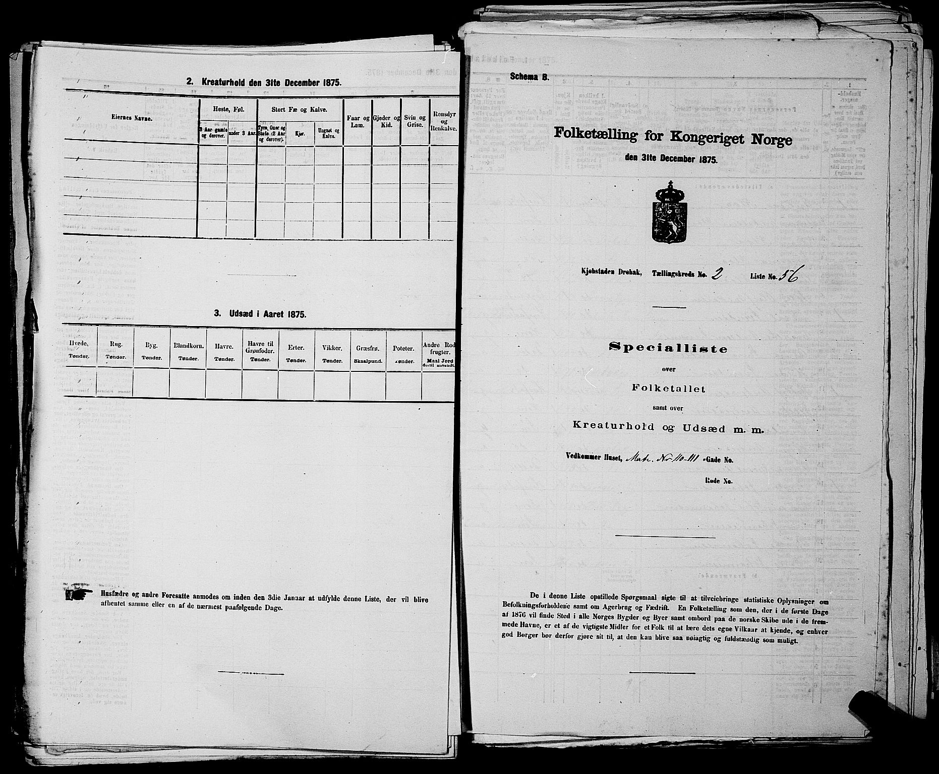 RA, Folketelling 1875 for 0203B Drøbak prestegjeld, Drøbak kjøpstad, 1875, s. 209