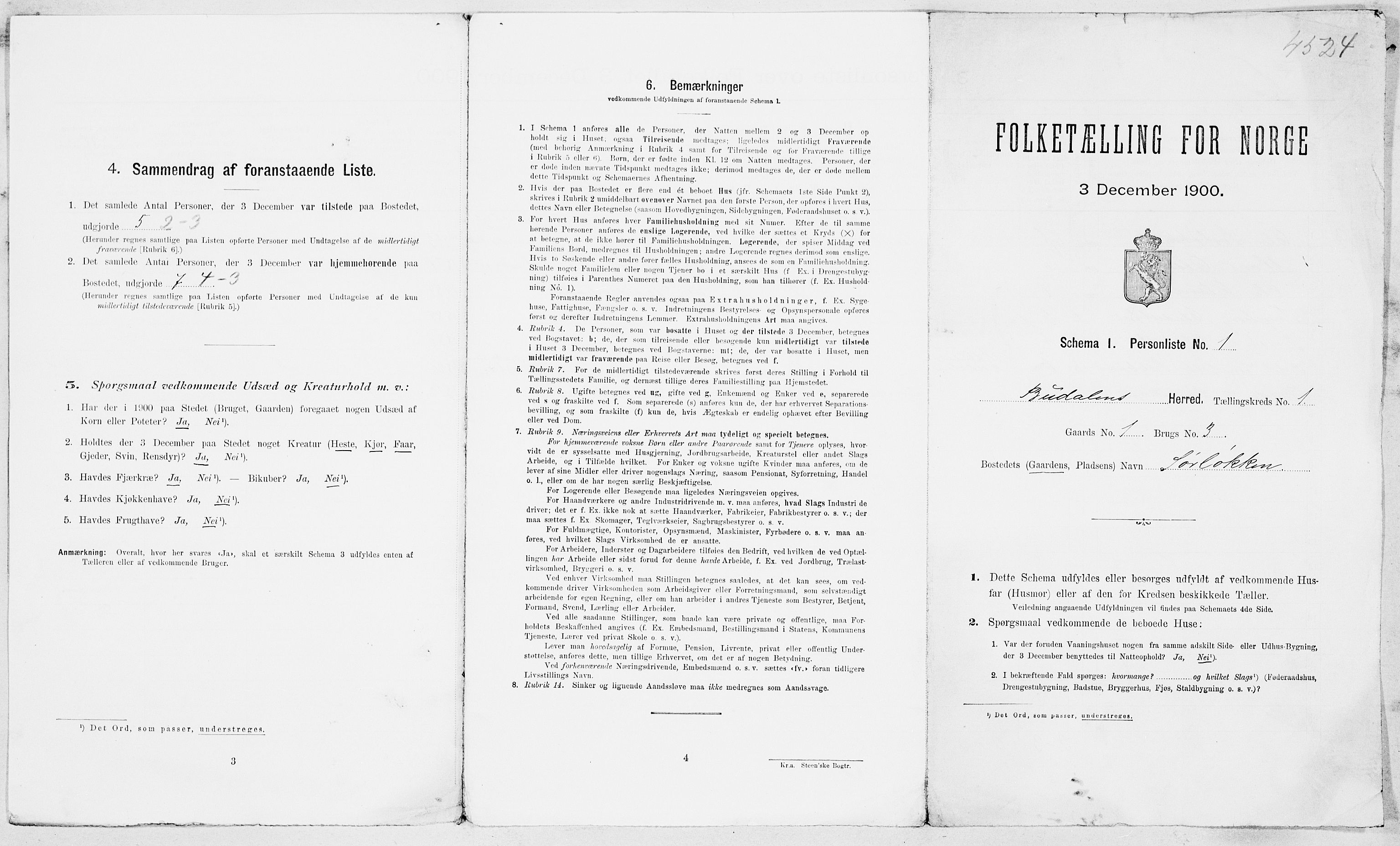 SAT, Folketelling 1900 for 1647 Budal herred, 1900, s. 8