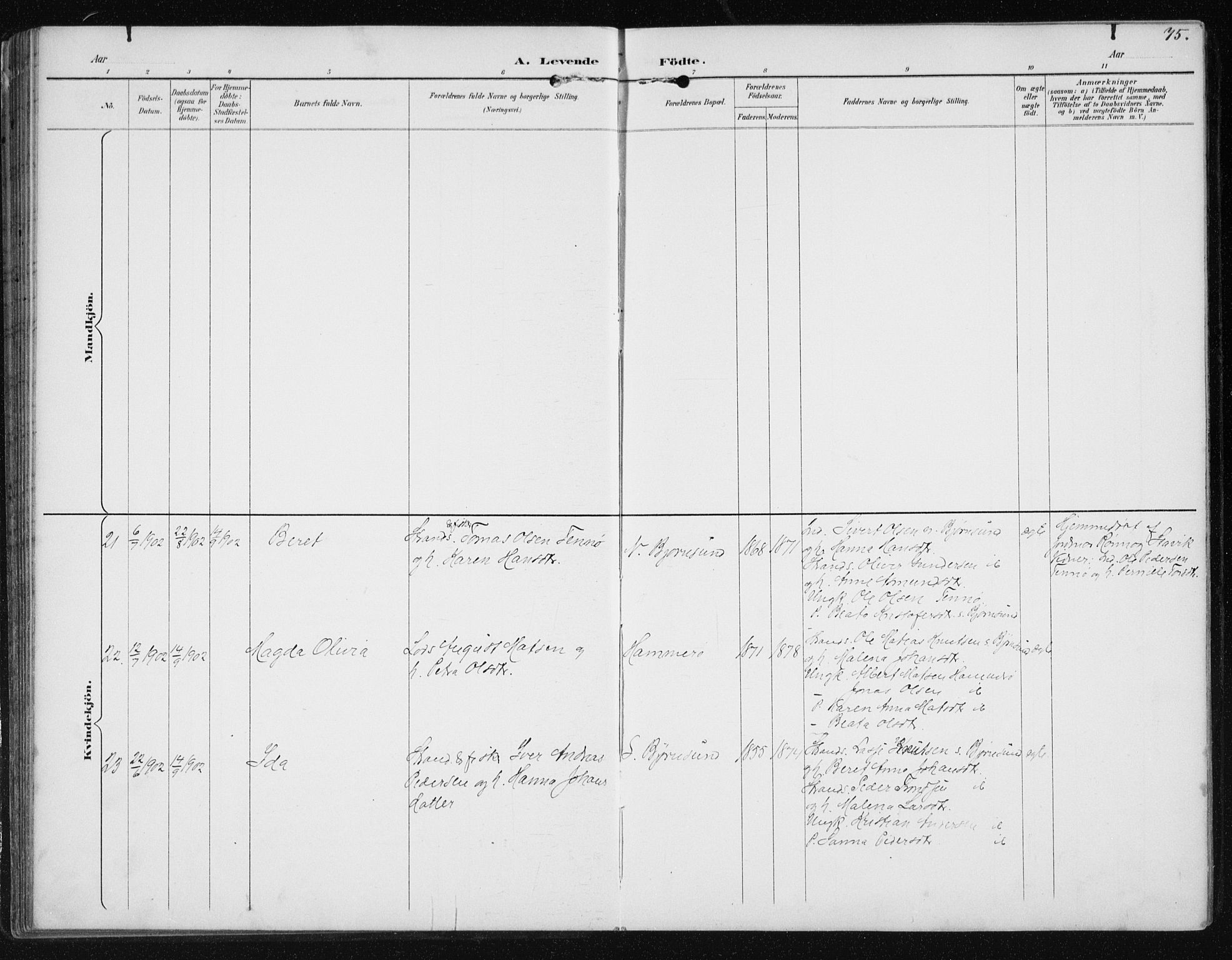 Ministerialprotokoller, klokkerbøker og fødselsregistre - Møre og Romsdal, AV/SAT-A-1454/566/L0773: Klokkerbok nr. 566C02, 1892-1909, s. 75