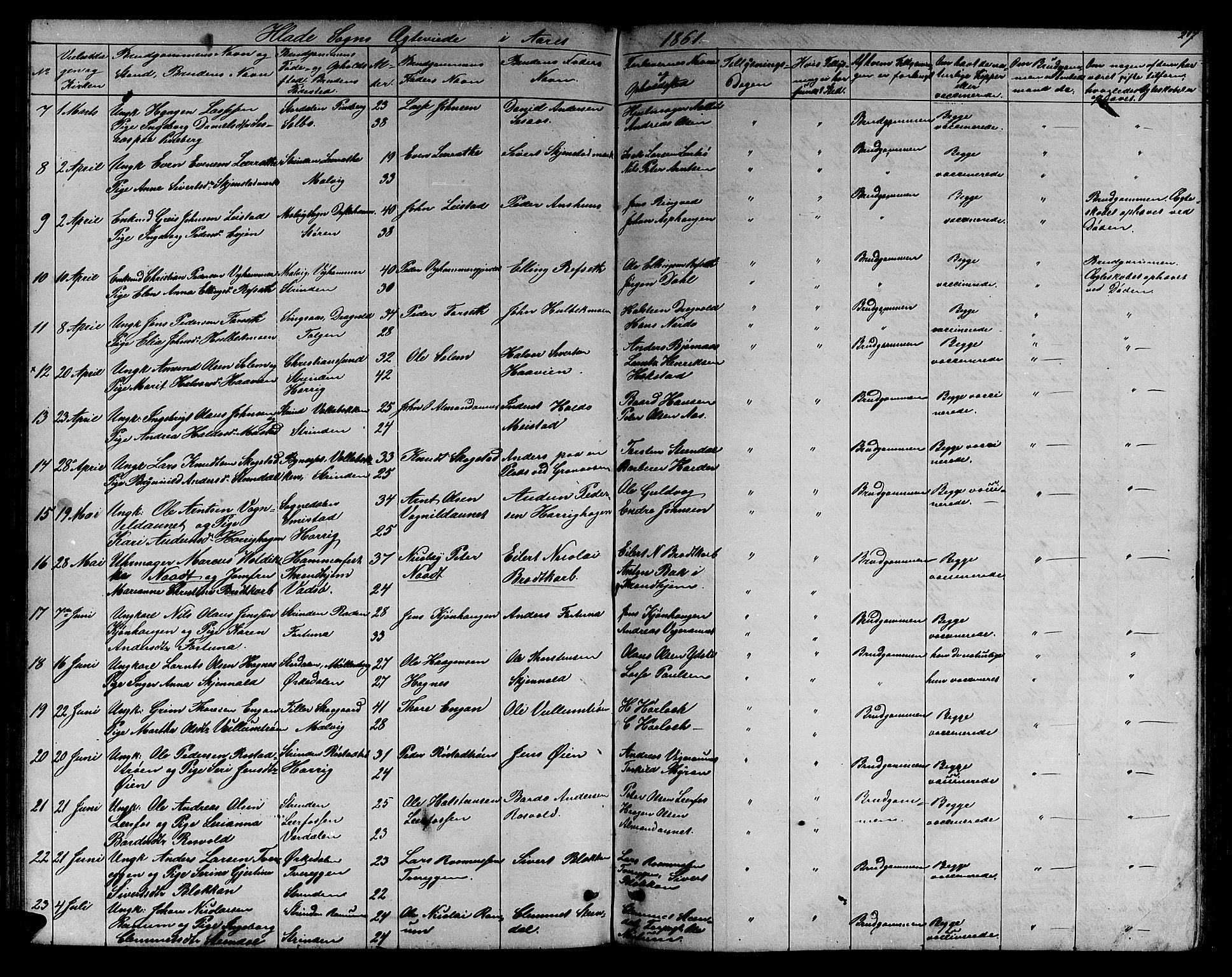 Ministerialprotokoller, klokkerbøker og fødselsregistre - Sør-Trøndelag, AV/SAT-A-1456/606/L0311: Klokkerbok nr. 606C07, 1860-1877, s. 217