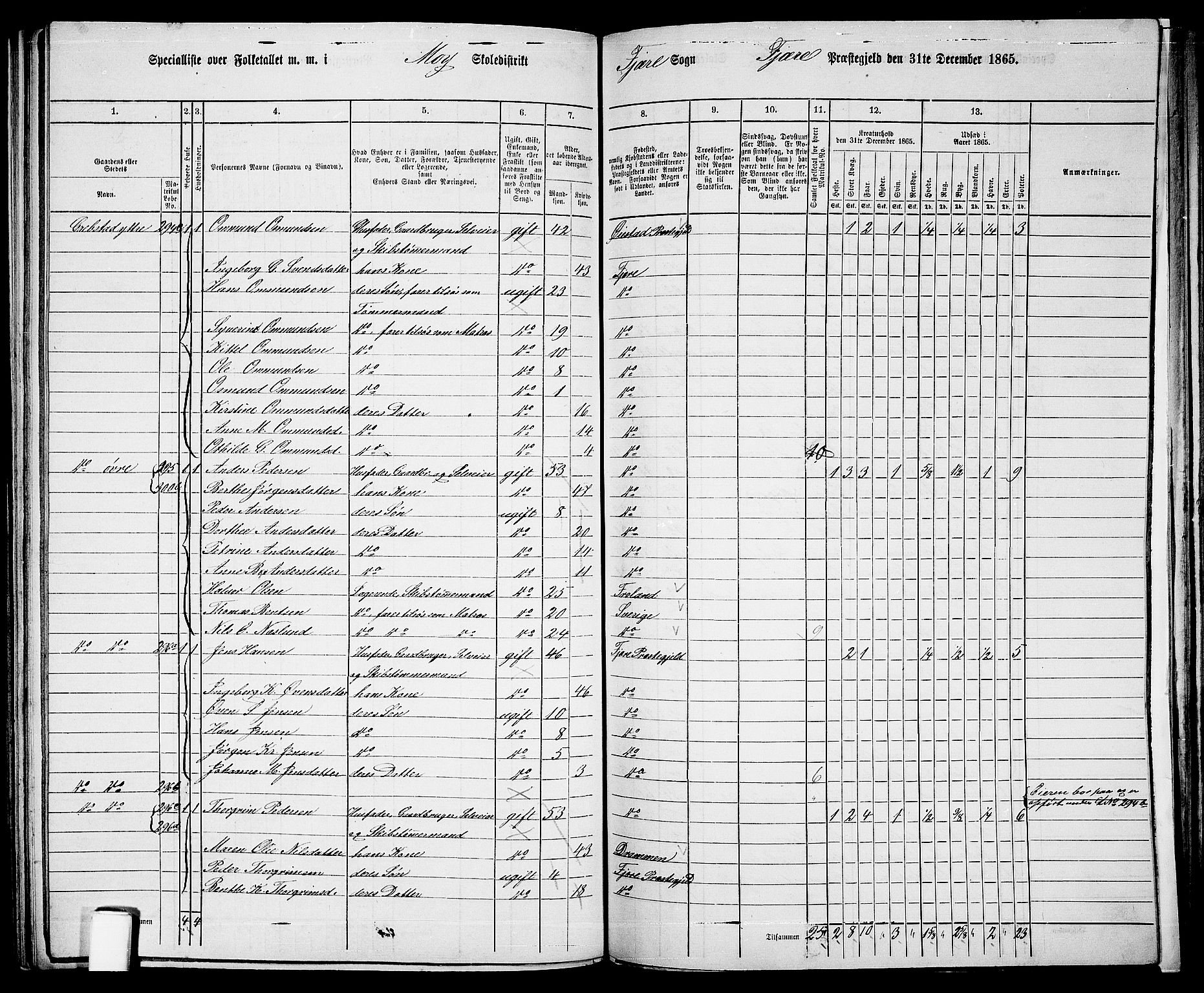 RA, Folketelling 1865 for 0923L Fjære prestegjeld, Fjære sokn, 1865, s. 113