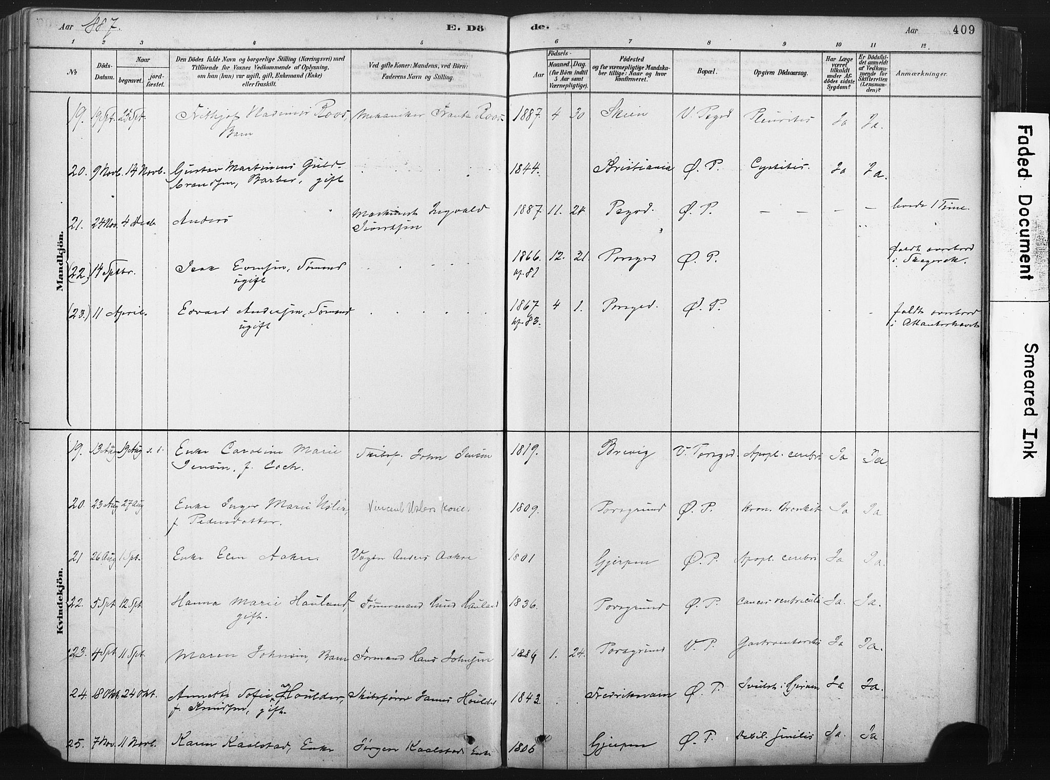 Porsgrunn kirkebøker , AV/SAKO-A-104/F/Fa/L0008: Ministerialbok nr. 8, 1878-1895, s. 409