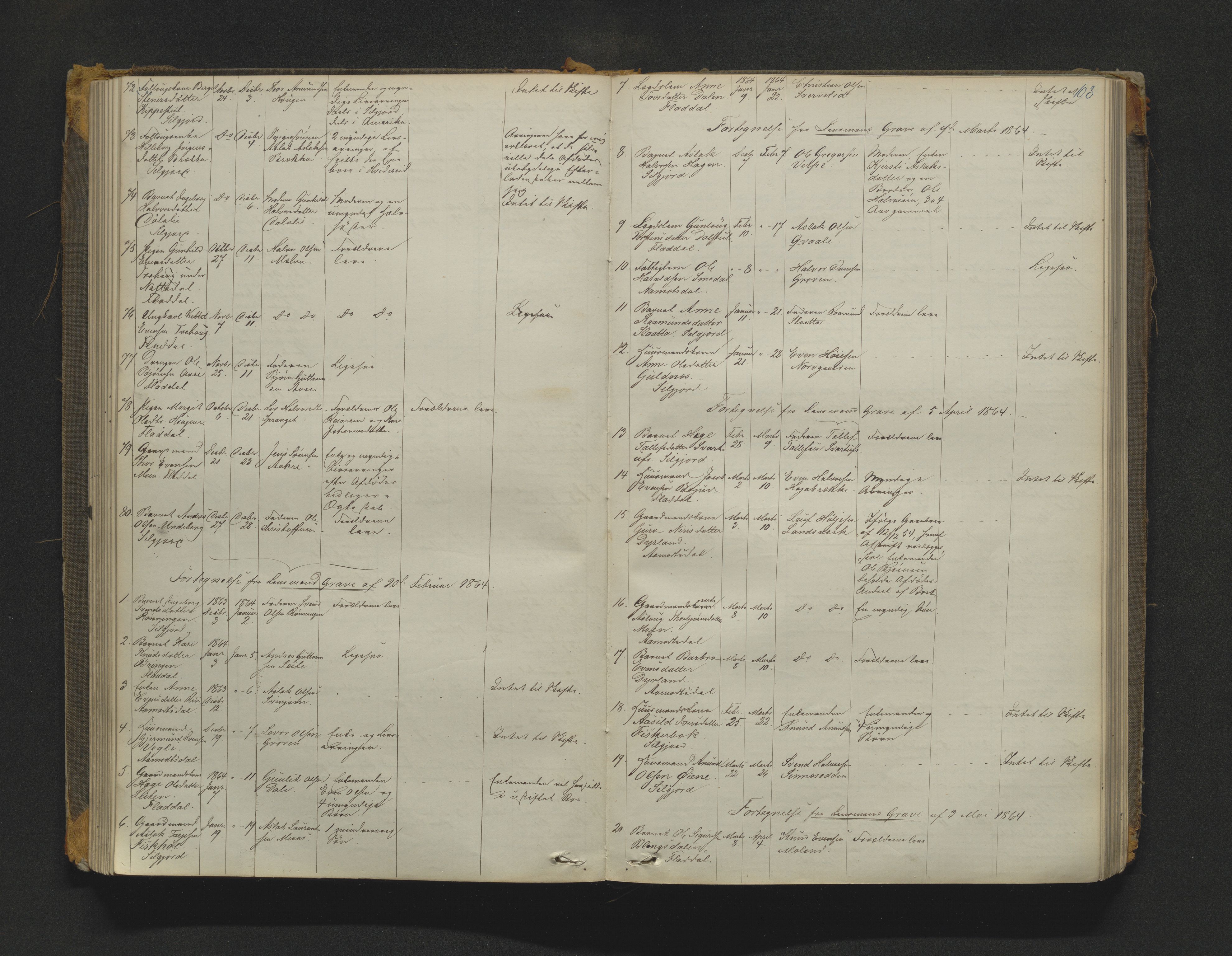 Øvre Telemark østfjelske sorenskriveri, AV/SAKO-A-213/H/Ha/Haa/L0001: Dødsanmeldelsesprotokoll, 1862-1899, s. 103