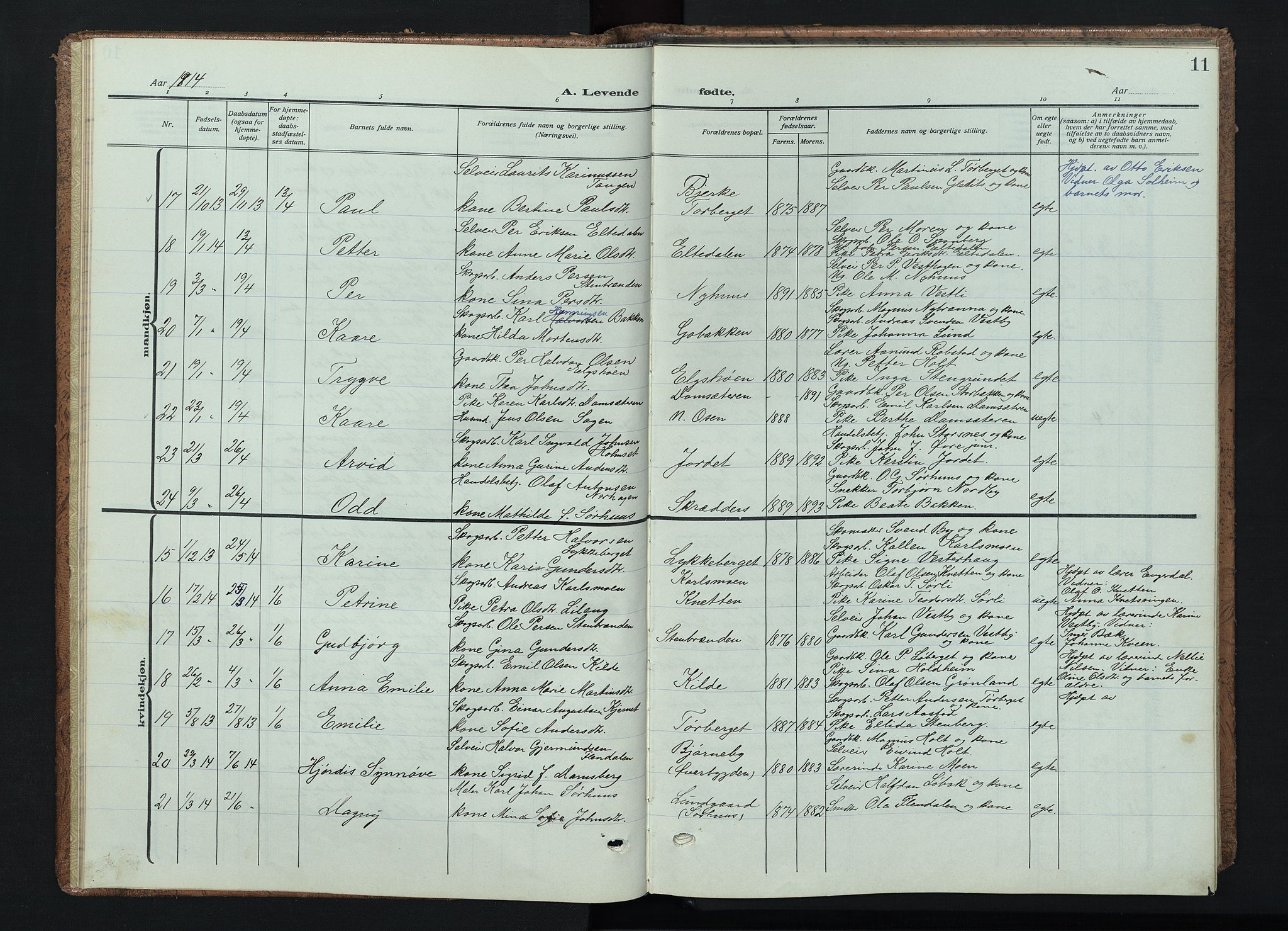 Trysil prestekontor, AV/SAH-PREST-046/H/Ha/Haa/L0015: Ministerialbok nr. 15, 1913-1934, s. 11