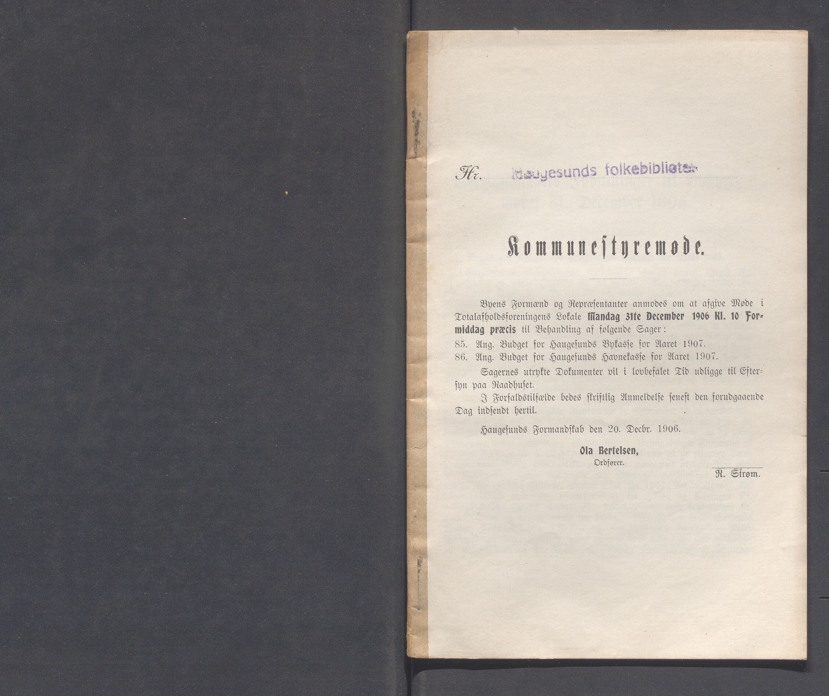 Haugesund kommune - Formannskapet og Bystyret, IKAR/A-740/A/Abb/L0001: Bystyreforhandlinger, 1889-1907, s. 899