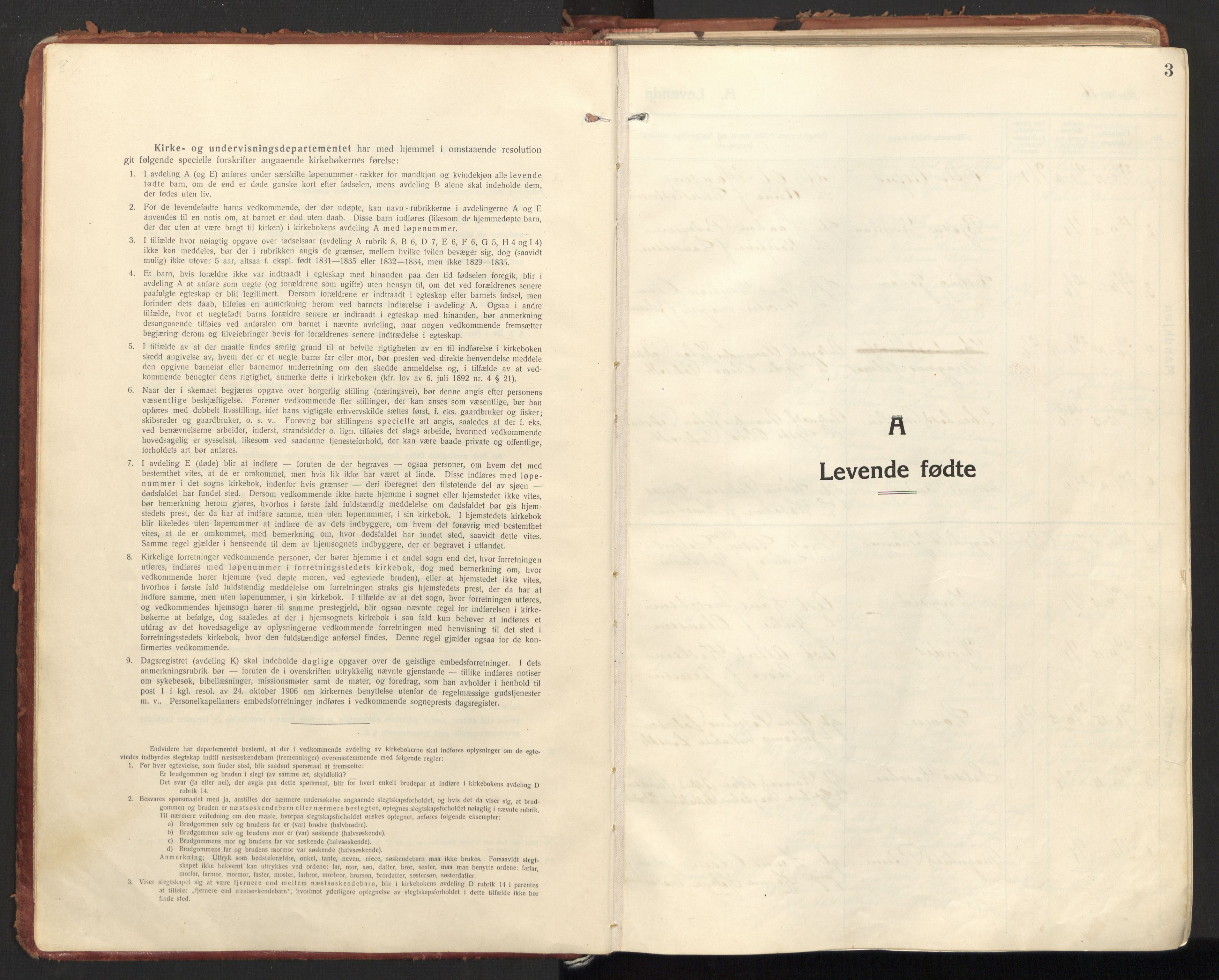 Ministerialprotokoller, klokkerbøker og fødselsregistre - Nordland, SAT/A-1459/846/L0650: Ministerialbok nr. 846A08, 1916-1935, s. 3