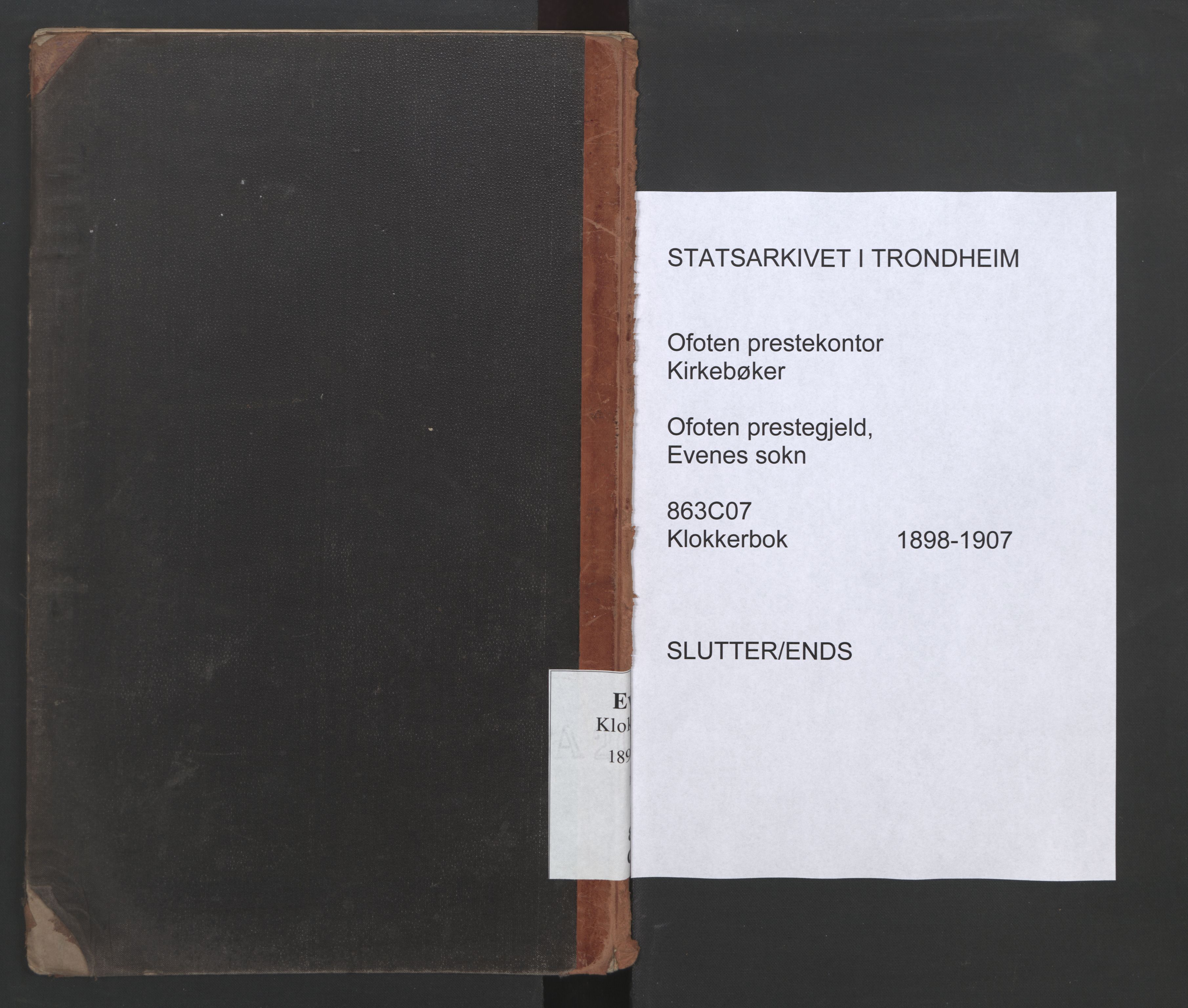 Ministerialprotokoller, klokkerbøker og fødselsregistre - Nordland, AV/SAT-A-1459/863/L0917: Klokkerbok nr. 863C07, 1898-1907