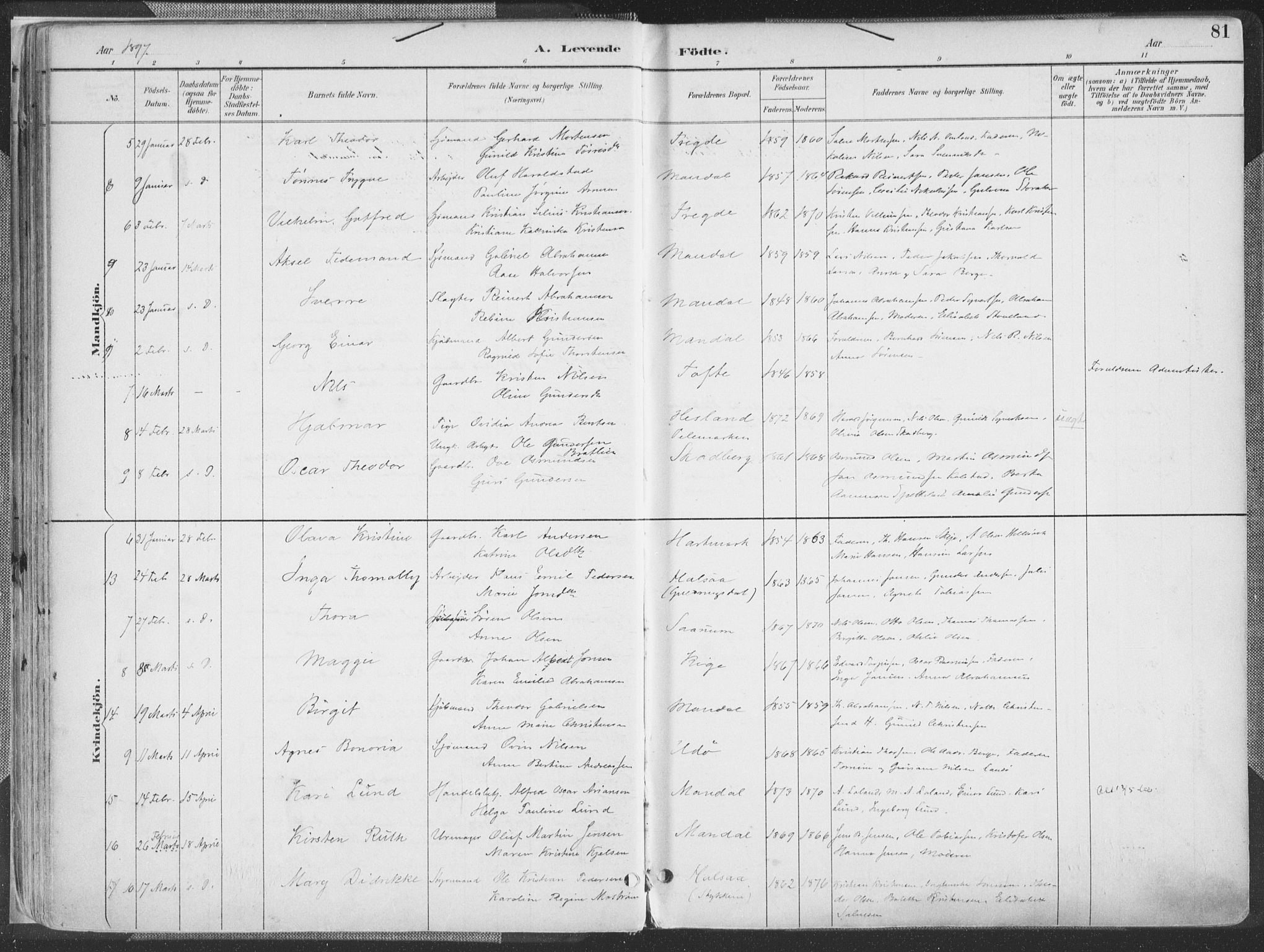 Mandal sokneprestkontor, AV/SAK-1111-0030/F/Fa/Faa/L0018: Ministerialbok nr. A 18, 1890-1905, s. 81