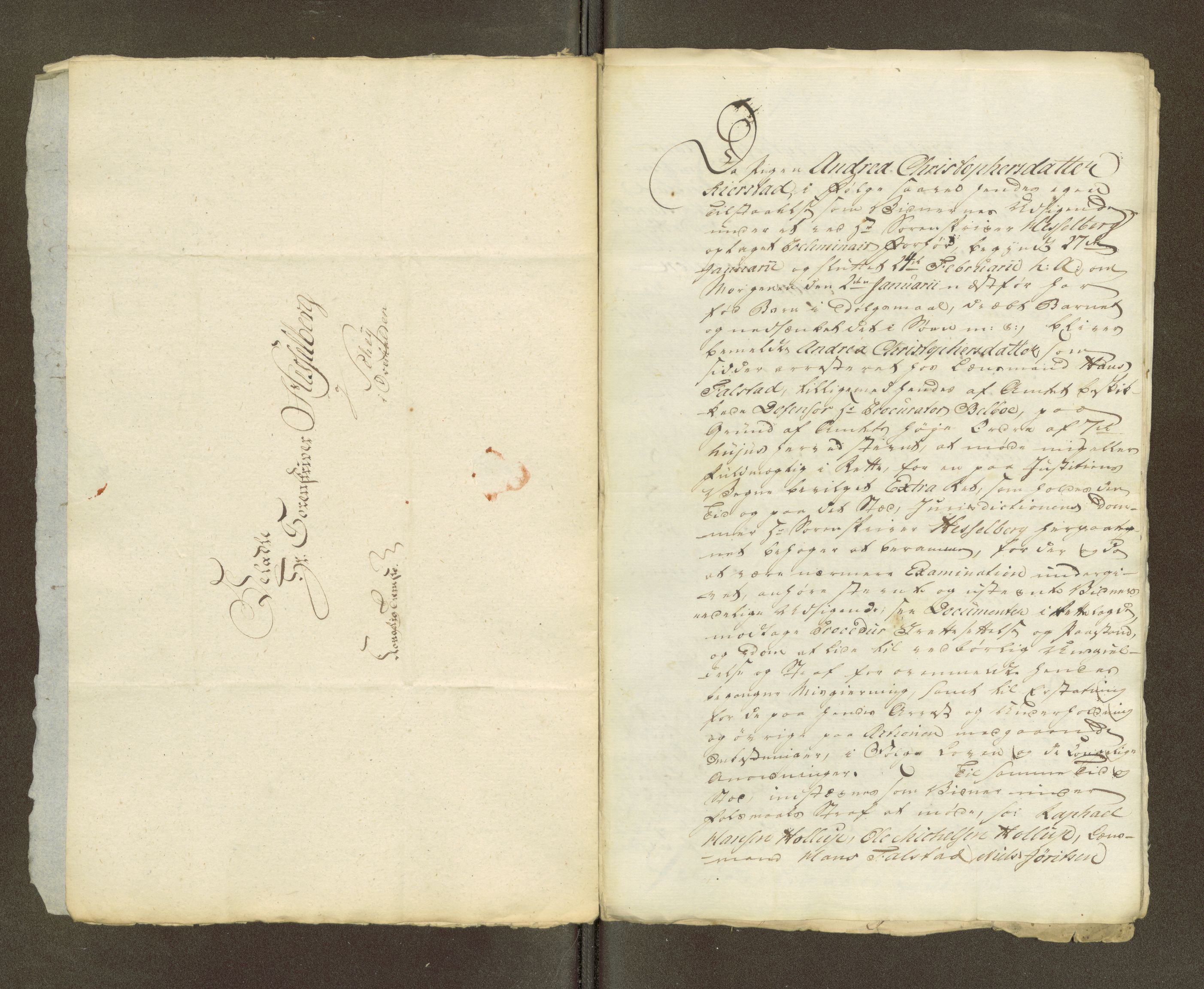 Namdal sorenskriveri, SAT/A-4133/1/1/1O/1Oa/L0007: Sivile og offentlige saker, 1798, s. 6