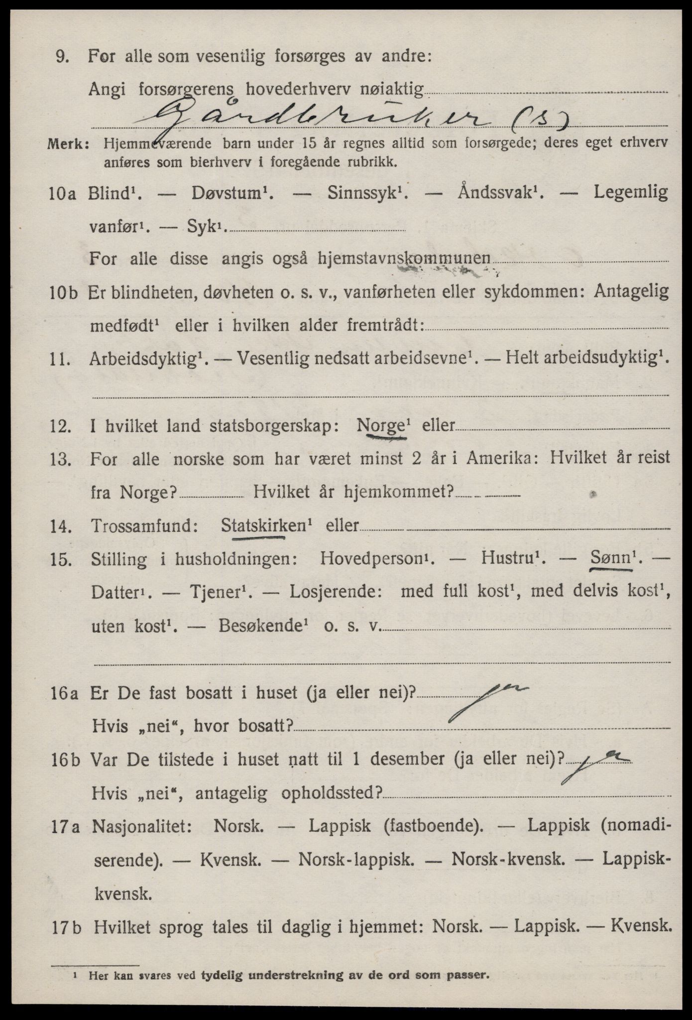 SAT, Folketelling 1920 for 1638 Orkdal herred, 1920, s. 3855