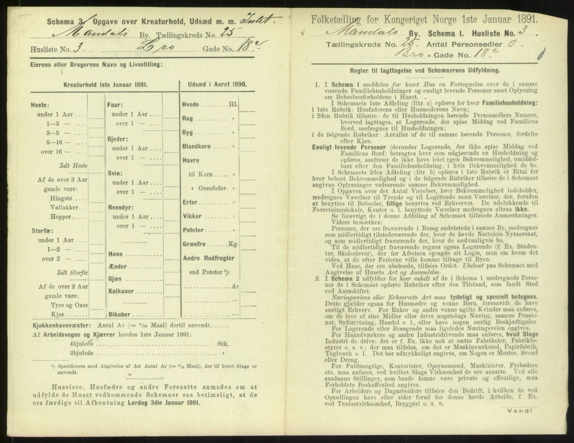 RA, Folketelling 1891 for 1002 Mandal ladested, 1891, s. 1113