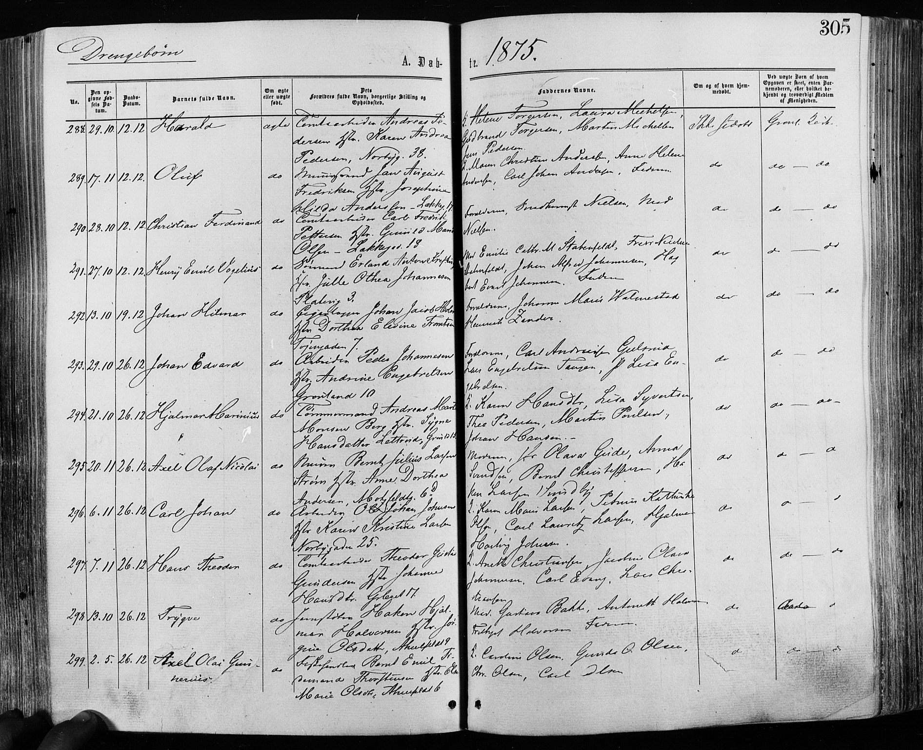 Grønland prestekontor Kirkebøker, SAO/A-10848/F/Fa/L0004: Ministerialbok nr. 4, 1869-1880, s. 305