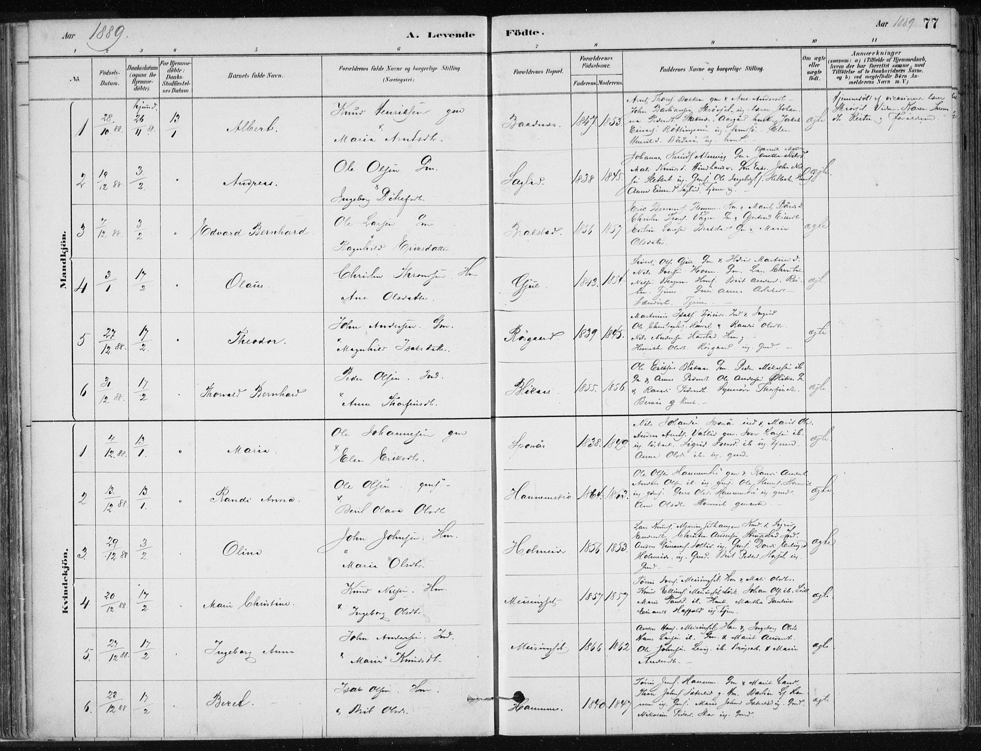 Ministerialprotokoller, klokkerbøker og fødselsregistre - Møre og Romsdal, AV/SAT-A-1454/586/L0987: Ministerialbok nr. 586A13, 1879-1892, s. 77