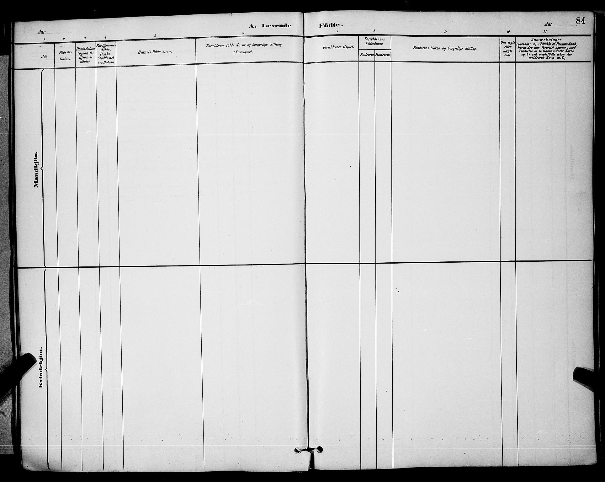 Brevik kirkebøker, AV/SAKO-A-255/G/Ga/L0004: Klokkerbok nr. 4, 1882-1900, s. 84