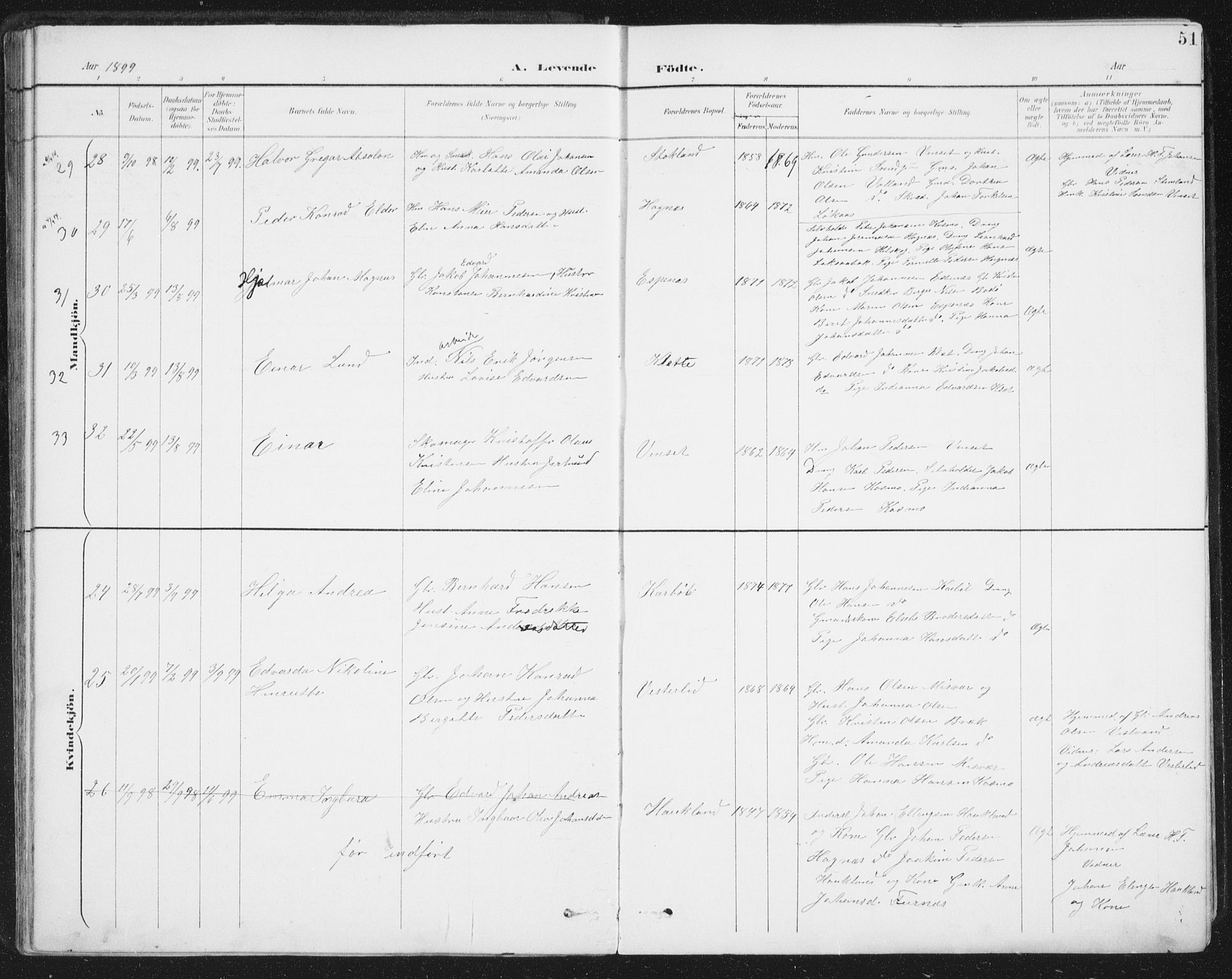 Ministerialprotokoller, klokkerbøker og fødselsregistre - Nordland, AV/SAT-A-1459/852/L0741: Ministerialbok nr. 852A11, 1894-1917, s. 51