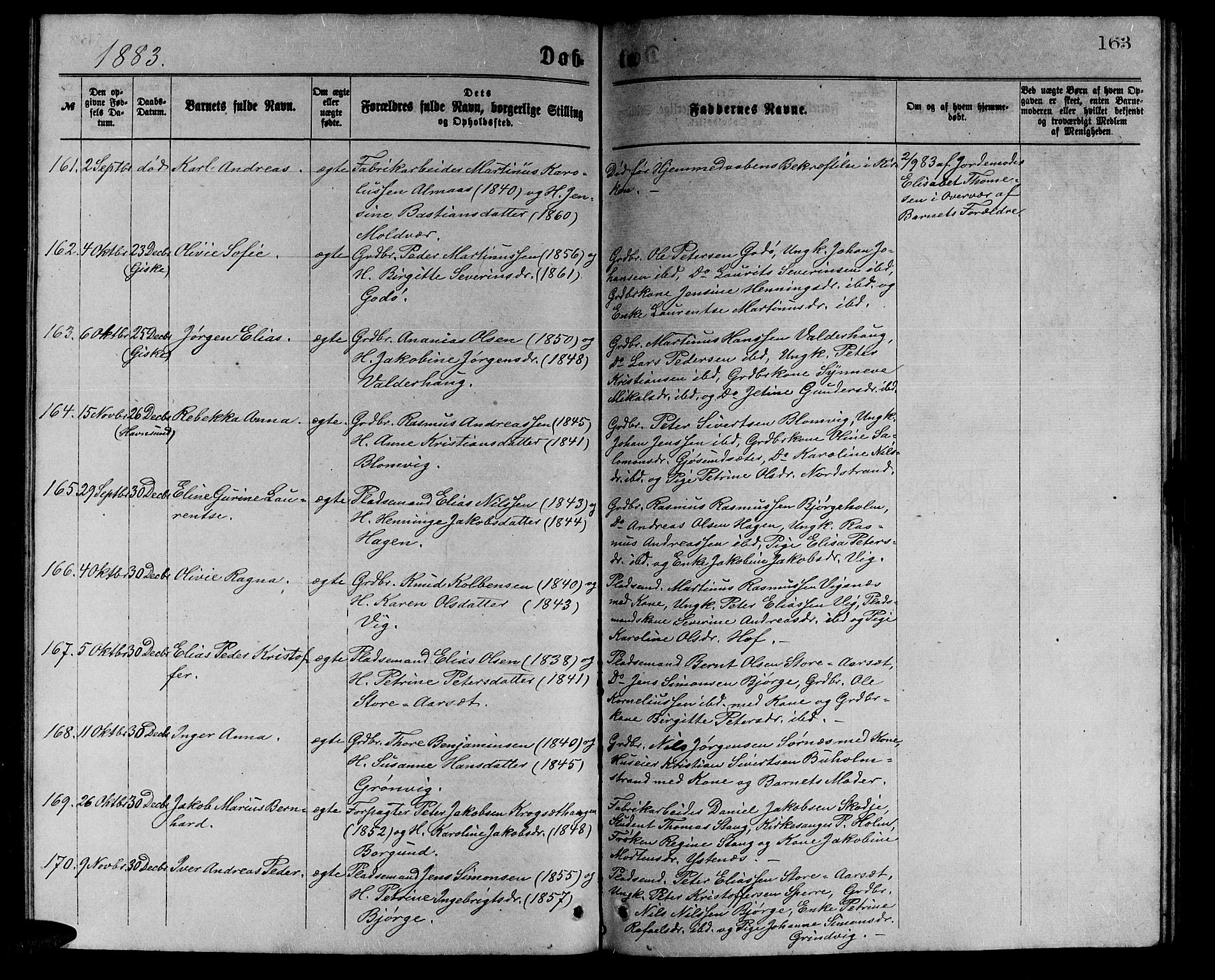Ministerialprotokoller, klokkerbøker og fødselsregistre - Møre og Romsdal, AV/SAT-A-1454/528/L0429: Klokkerbok nr. 528C10, 1872-1886, s. 163