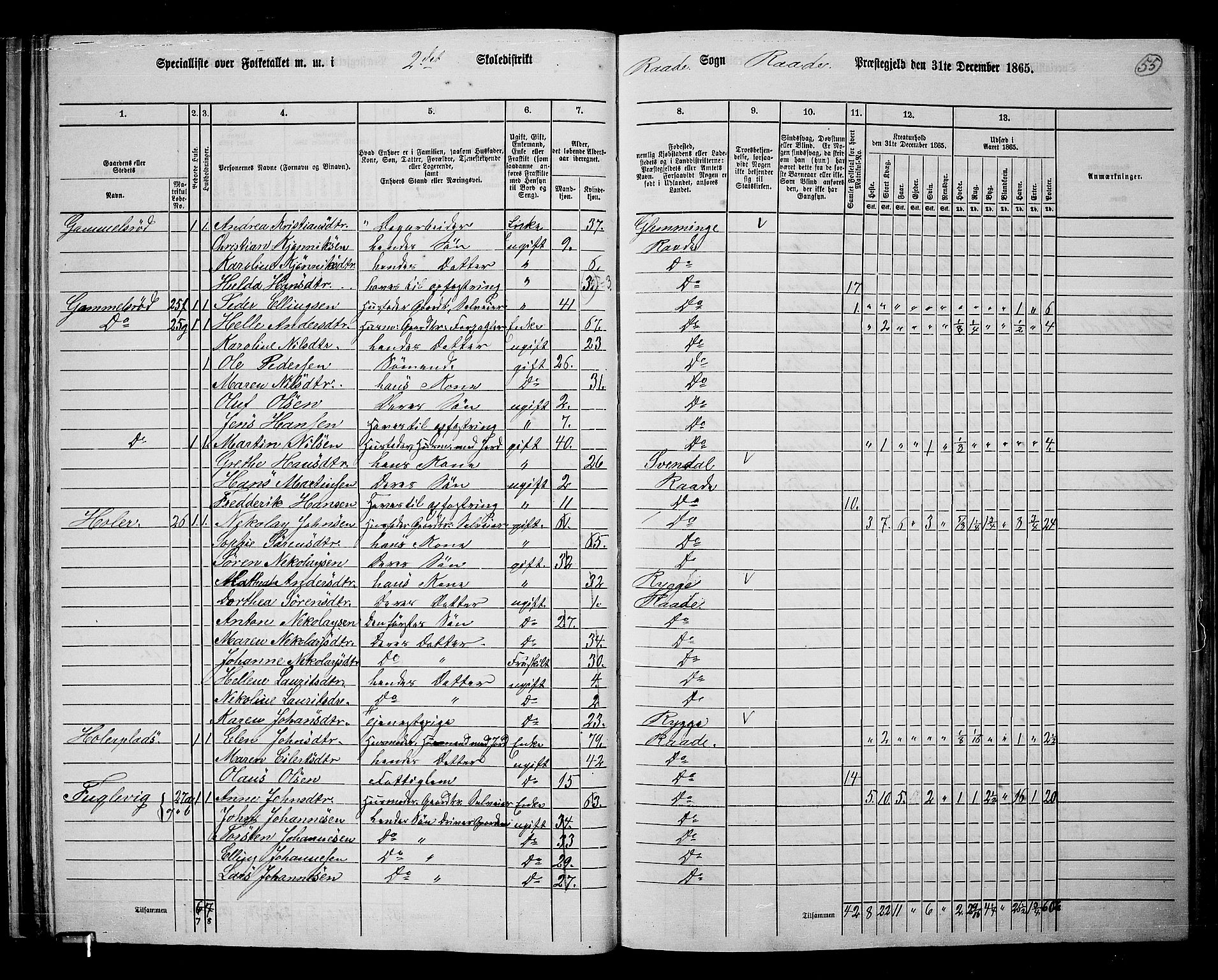 RA, Folketelling 1865 for 0135P Råde prestegjeld, 1865, s. 49