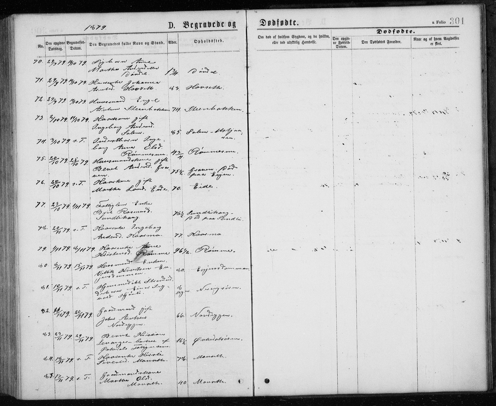 Ministerialprotokoller, klokkerbøker og fødselsregistre - Sør-Trøndelag, SAT/A-1456/668/L0817: Klokkerbok nr. 668C06, 1873-1884, s. 301