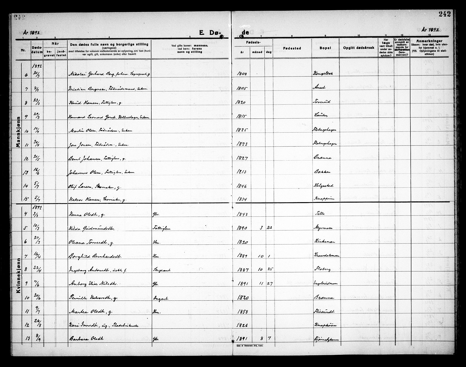 Åsnes prestekontor, SAH/PREST-042/H/Ha/Haa/L0000C: Ministerialbok nr. 0A, 1890-1929, s. 242