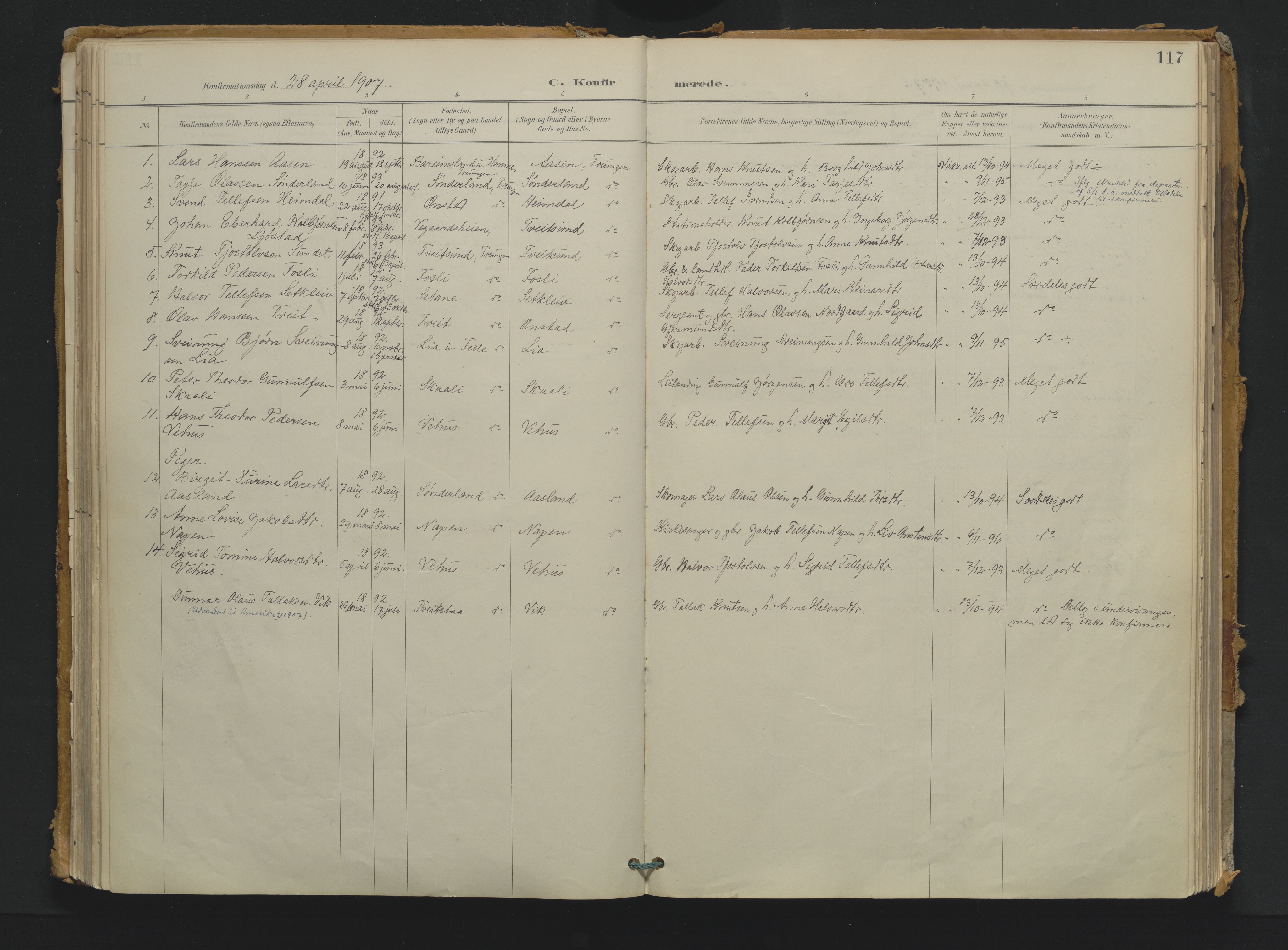 Nissedal kirkebøker, AV/SAKO-A-288/F/Fb/L0002: Ministerialbok nr. II 2, 1887-1924, s. 117