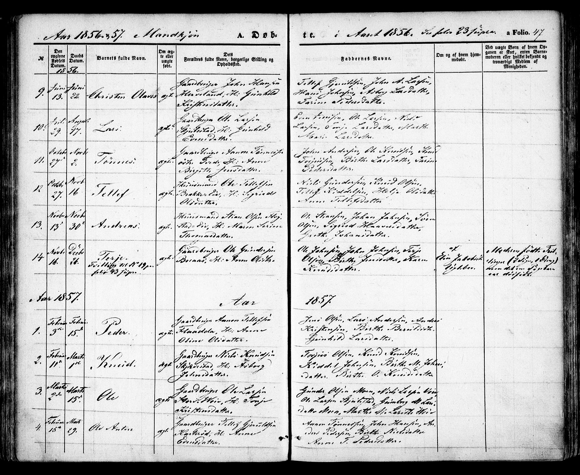Austre Moland sokneprestkontor, SAK/1111-0001/F/Fa/Faa/L0007: Ministerialbok nr. A 7, 1847-1857, s. 47