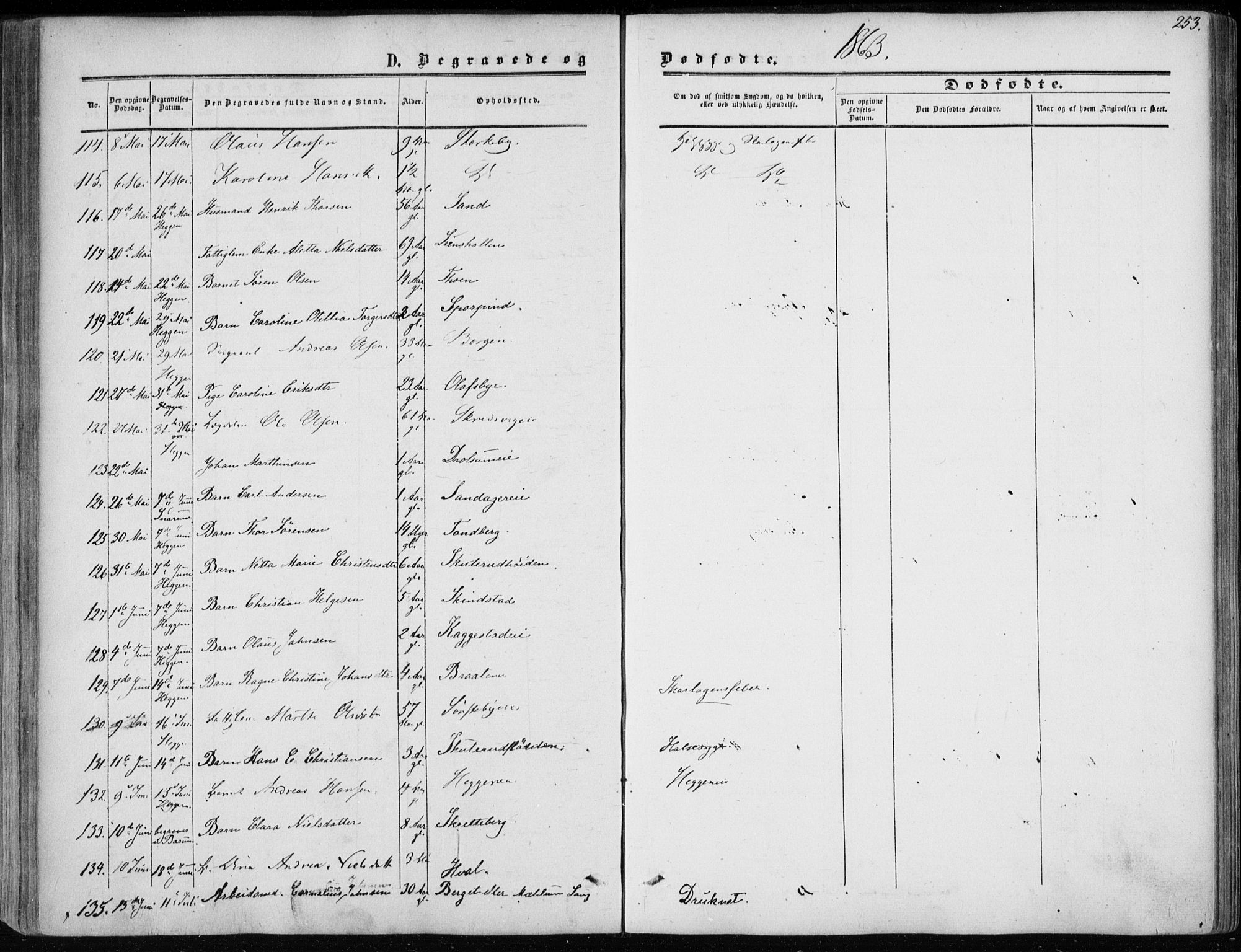 Modum kirkebøker, AV/SAKO-A-234/F/Fa/L0009: Ministerialbok nr. 9, 1860-1864, s. 253