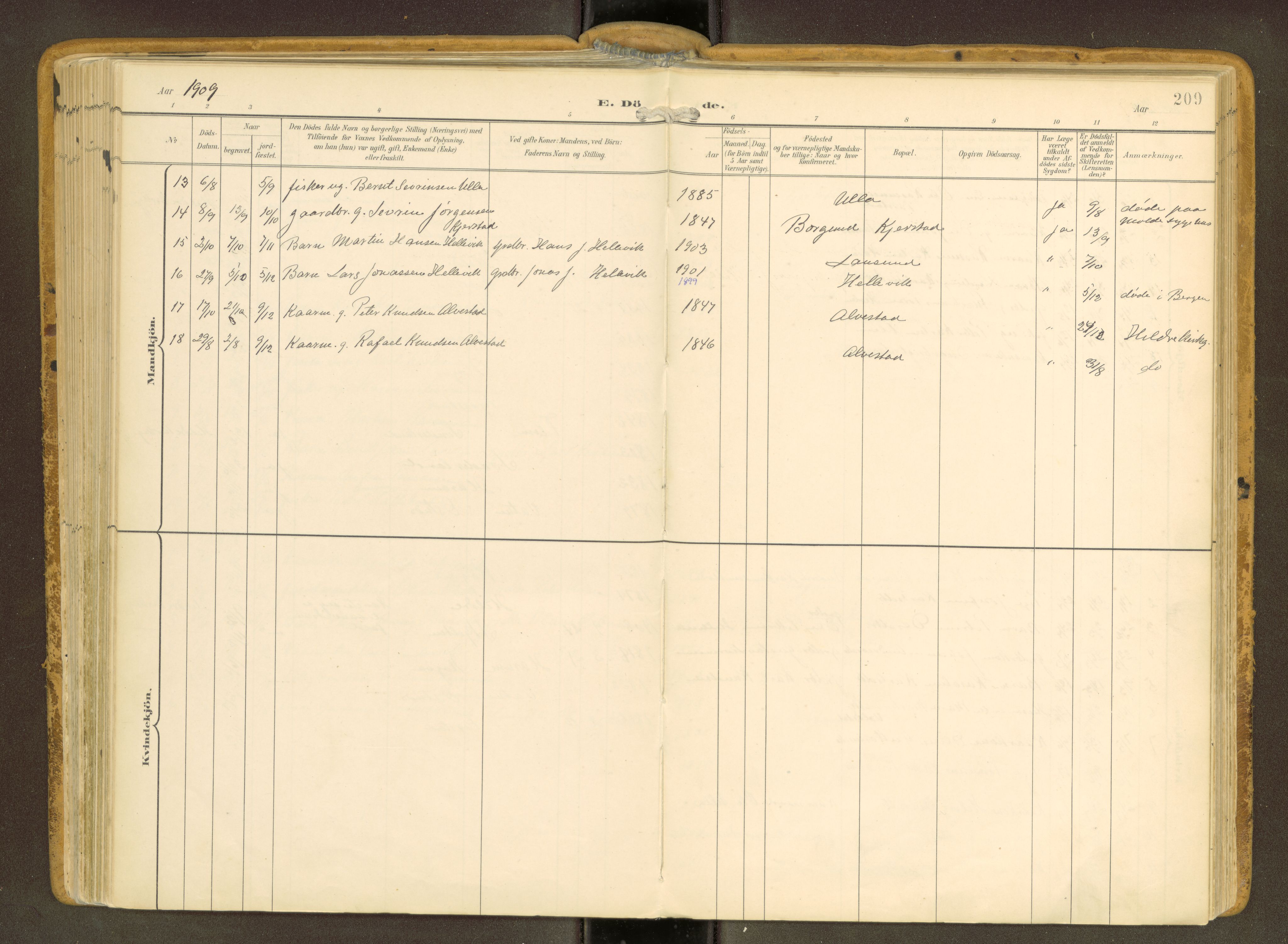 Ministerialprotokoller, klokkerbøker og fødselsregistre - Møre og Romsdal, AV/SAT-A-1454/536/L0517: Ministerialbok nr. 536A--, 1897-1917, s. 209