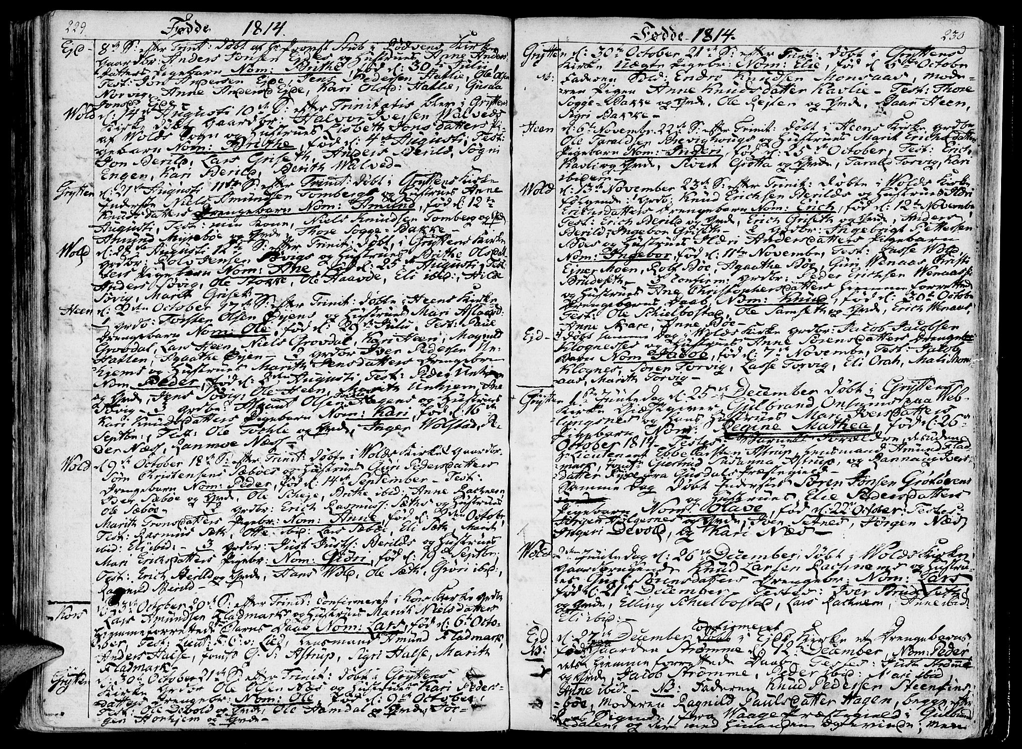 Ministerialprotokoller, klokkerbøker og fødselsregistre - Møre og Romsdal, AV/SAT-A-1454/544/L0570: Ministerialbok nr. 544A03, 1807-1817, s. 229-230