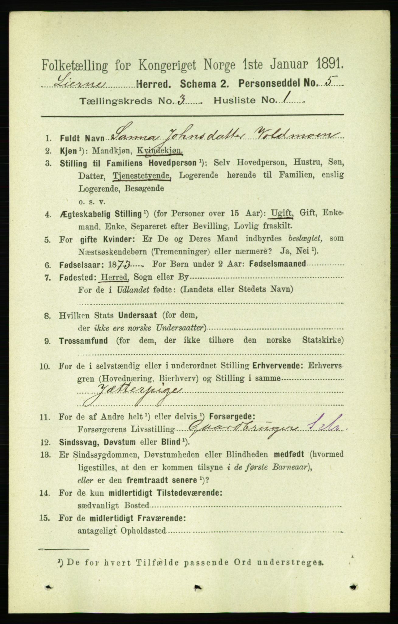 RA, Folketelling 1891 for 1737 Lierne herred, 1891, s. 796