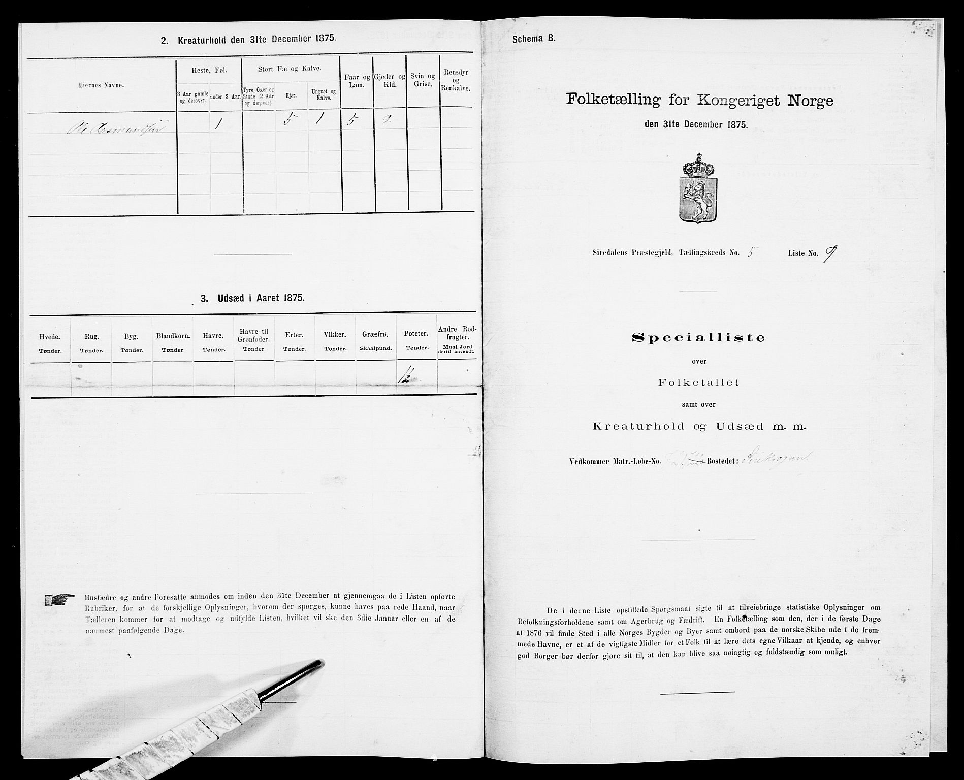 SAK, Folketelling 1875 for 1046P Sirdal prestegjeld, 1875, s. 423