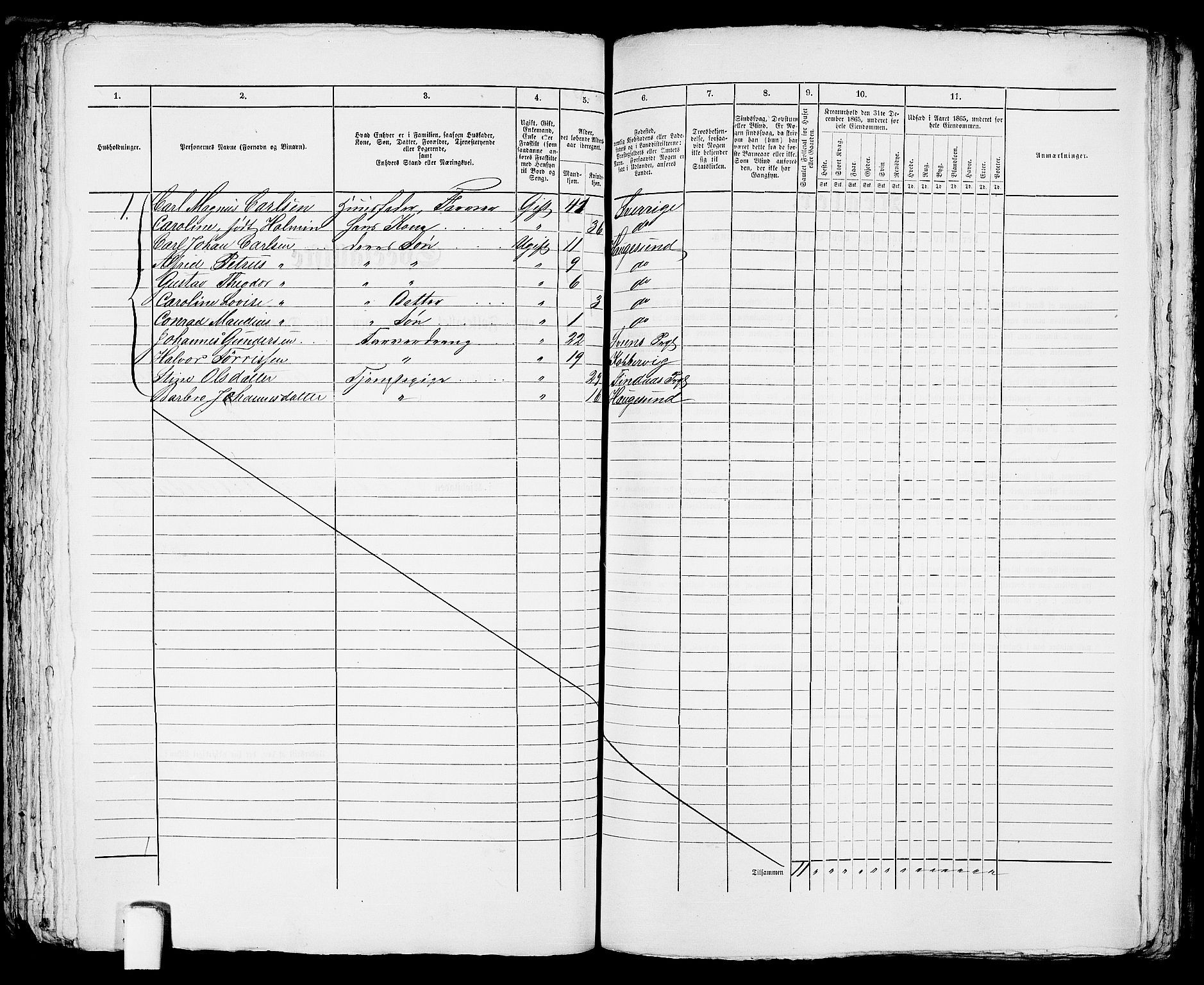 RA, Folketelling 1865 for 1106B Torvastad prestegjeld, Haugesund ladested, 1865, s. 288