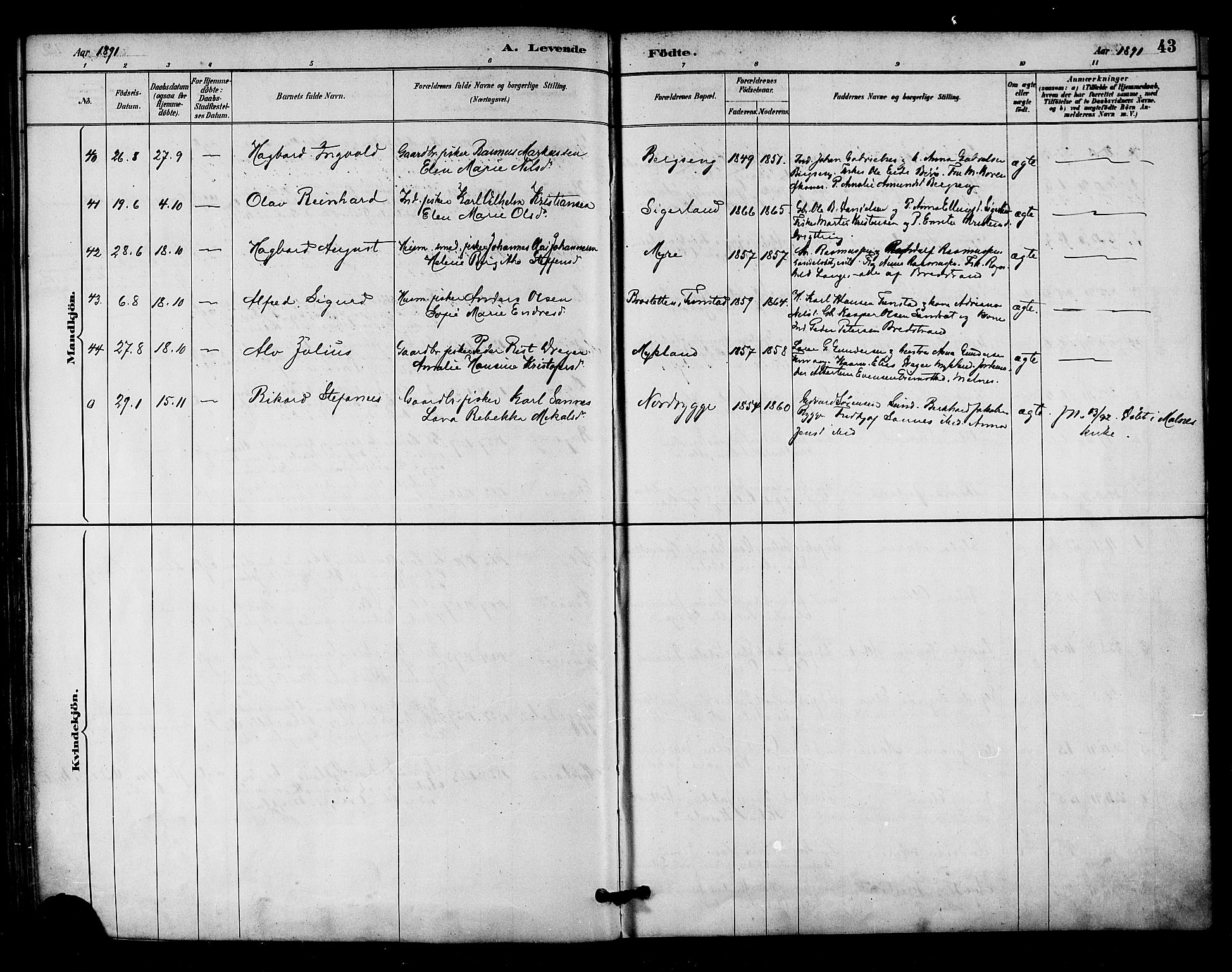 Ministerialprotokoller, klokkerbøker og fødselsregistre - Nordland, AV/SAT-A-1459/893/L1337: Ministerialbok nr. 893A09, 1885-1893, s. 43