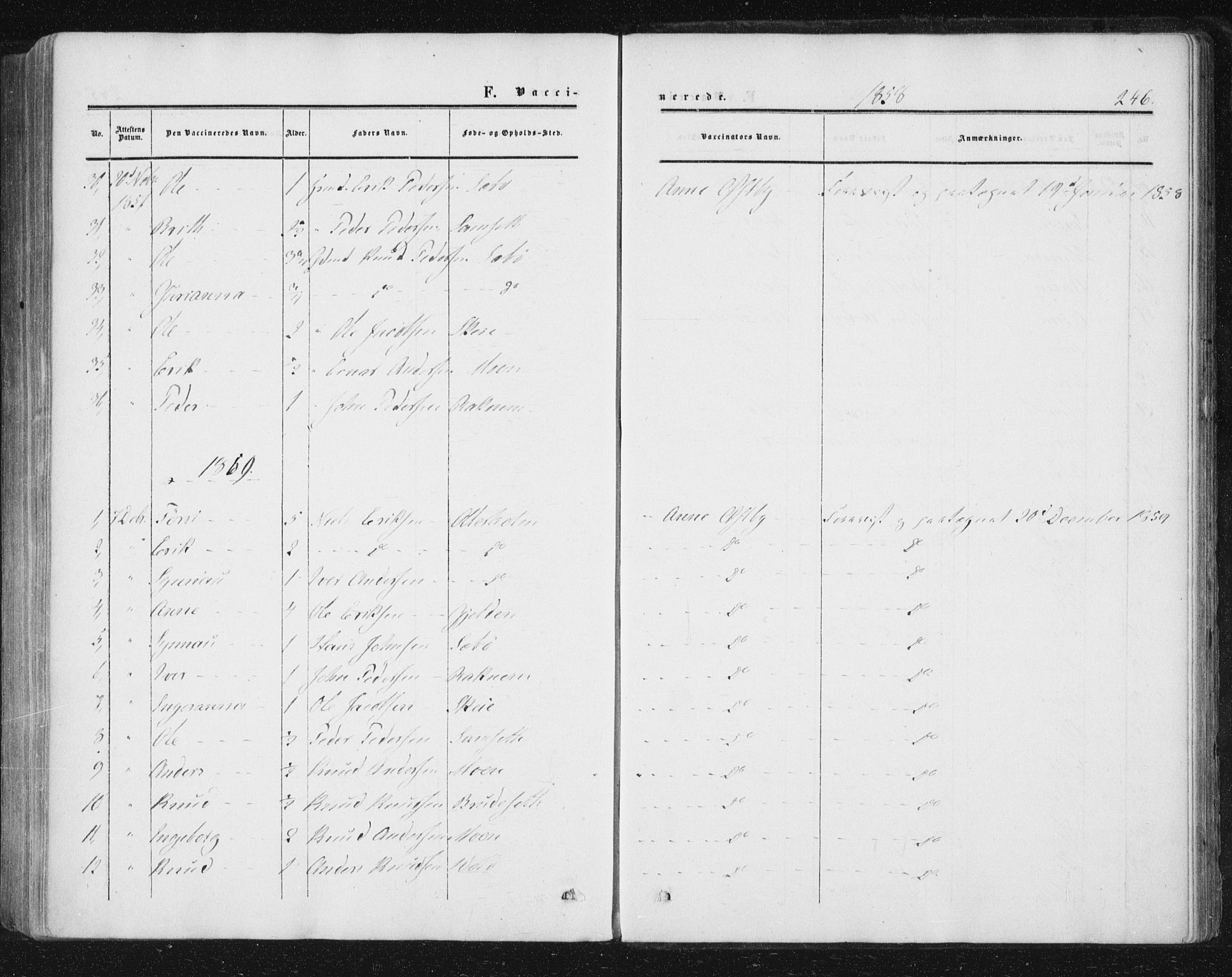 Ministerialprotokoller, klokkerbøker og fødselsregistre - Møre og Romsdal, AV/SAT-A-1454/543/L0562: Ministerialbok nr. 543A02, 1854-1884, s. 246