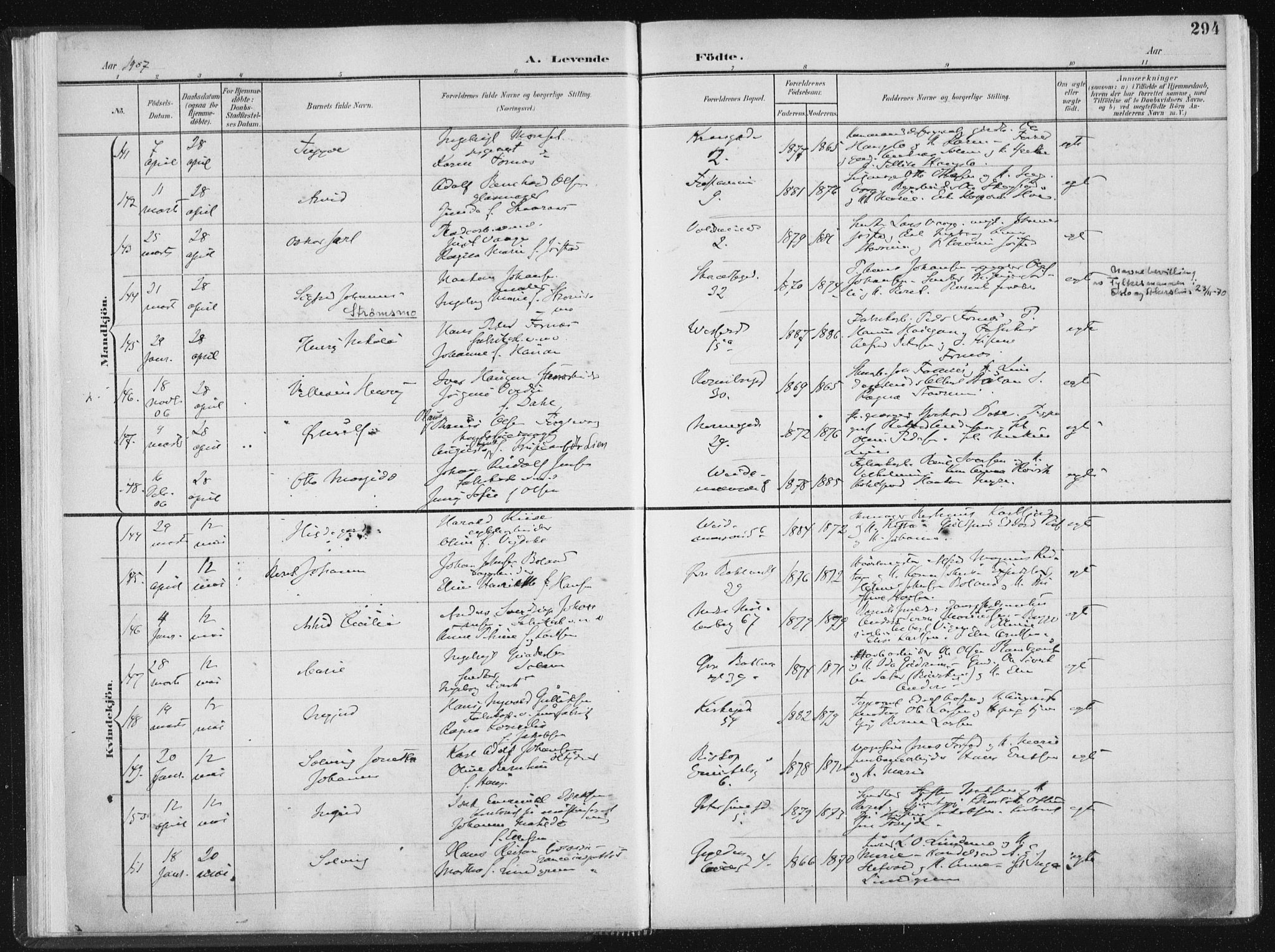 Ministerialprotokoller, klokkerbøker og fødselsregistre - Sør-Trøndelag, SAT/A-1456/604/L0200: Ministerialbok nr. 604A20II, 1901-1908, s. 294