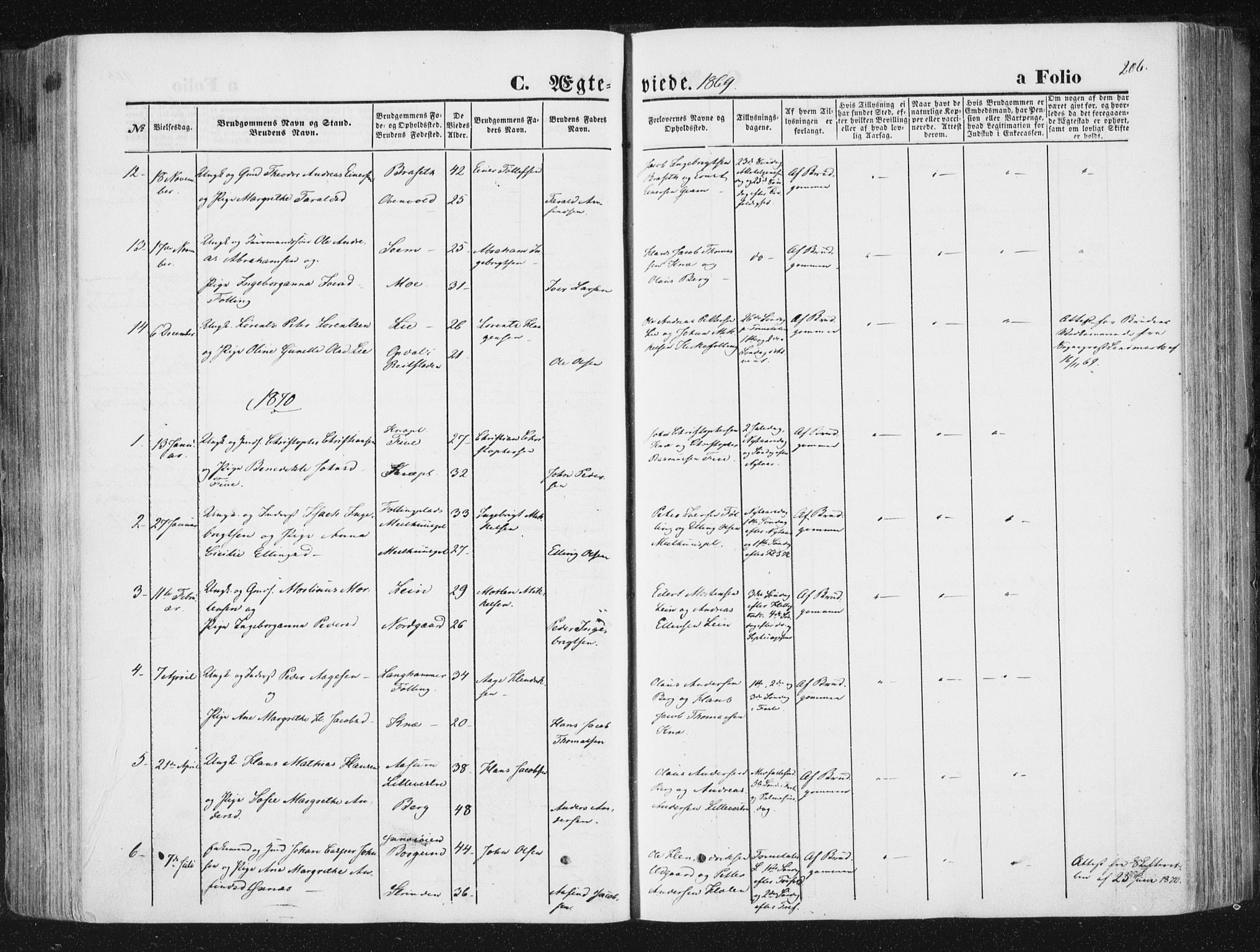 Ministerialprotokoller, klokkerbøker og fødselsregistre - Nord-Trøndelag, SAT/A-1458/746/L0447: Ministerialbok nr. 746A06, 1860-1877, s. 206