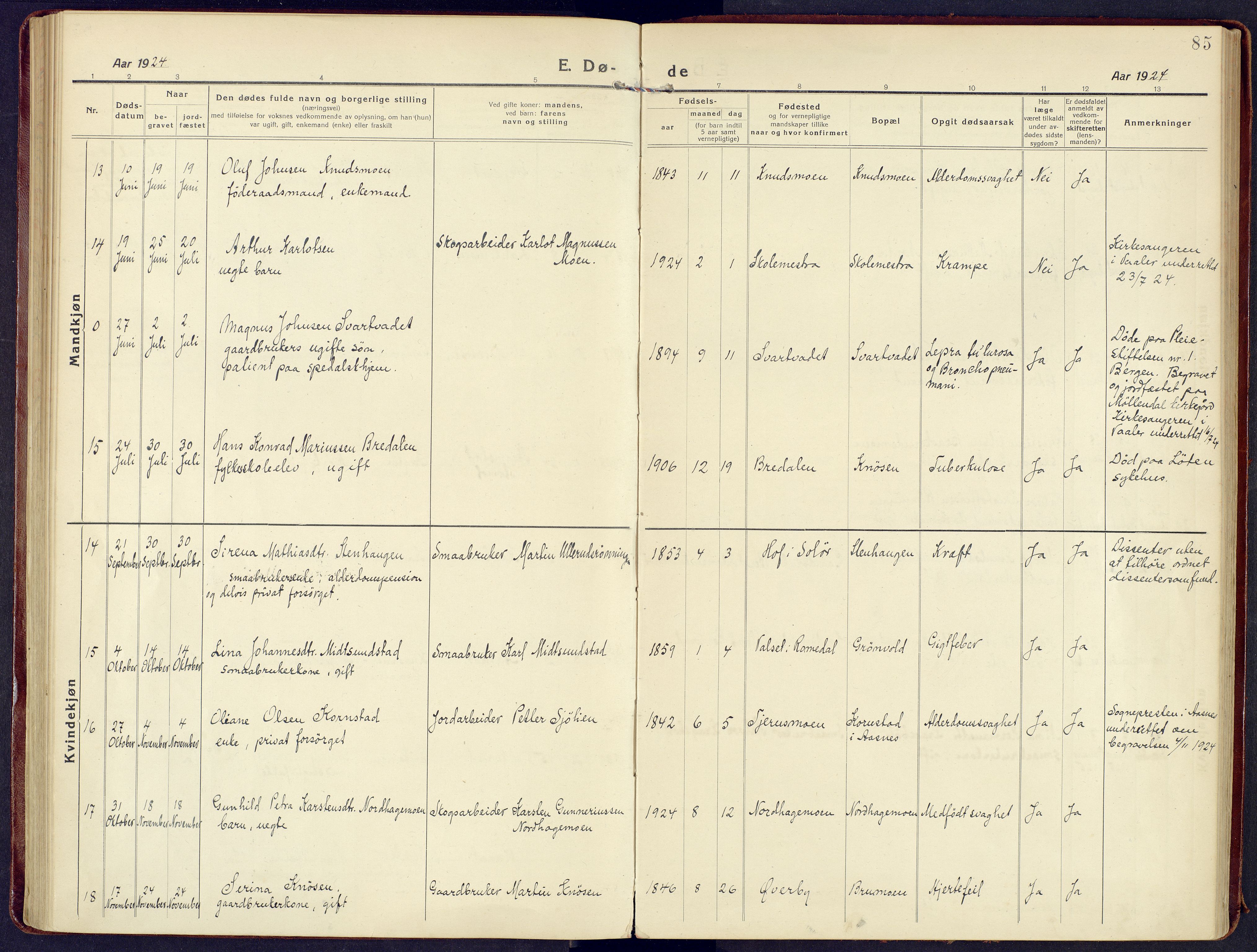 Våler prestekontor, Hedmark, AV/SAH-PREST-040/H/Ha/Haa/L0011: Ministerialbok nr. 11, 1919-1933, s. 85