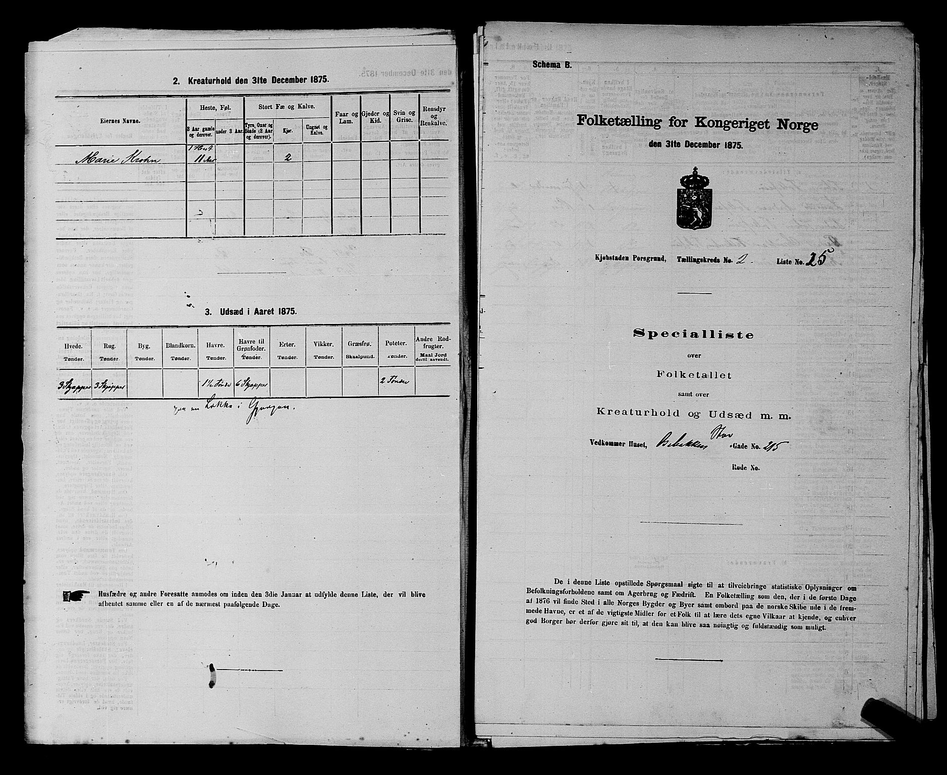 SAKO, Folketelling 1875 for 0805P Porsgrunn prestegjeld, 1875, s. 83