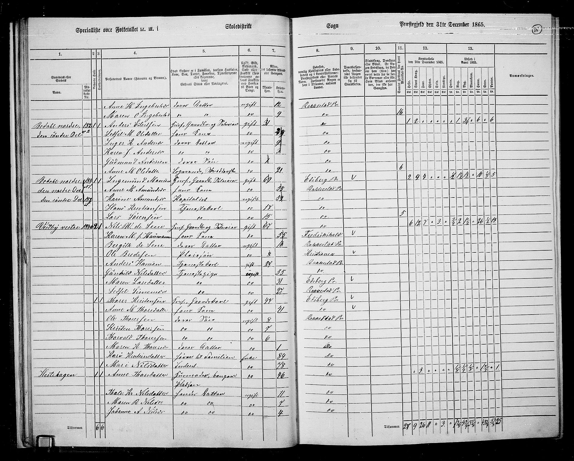 RA, Folketelling 1865 for 0128P Rakkestad prestegjeld, 1865, s. 36